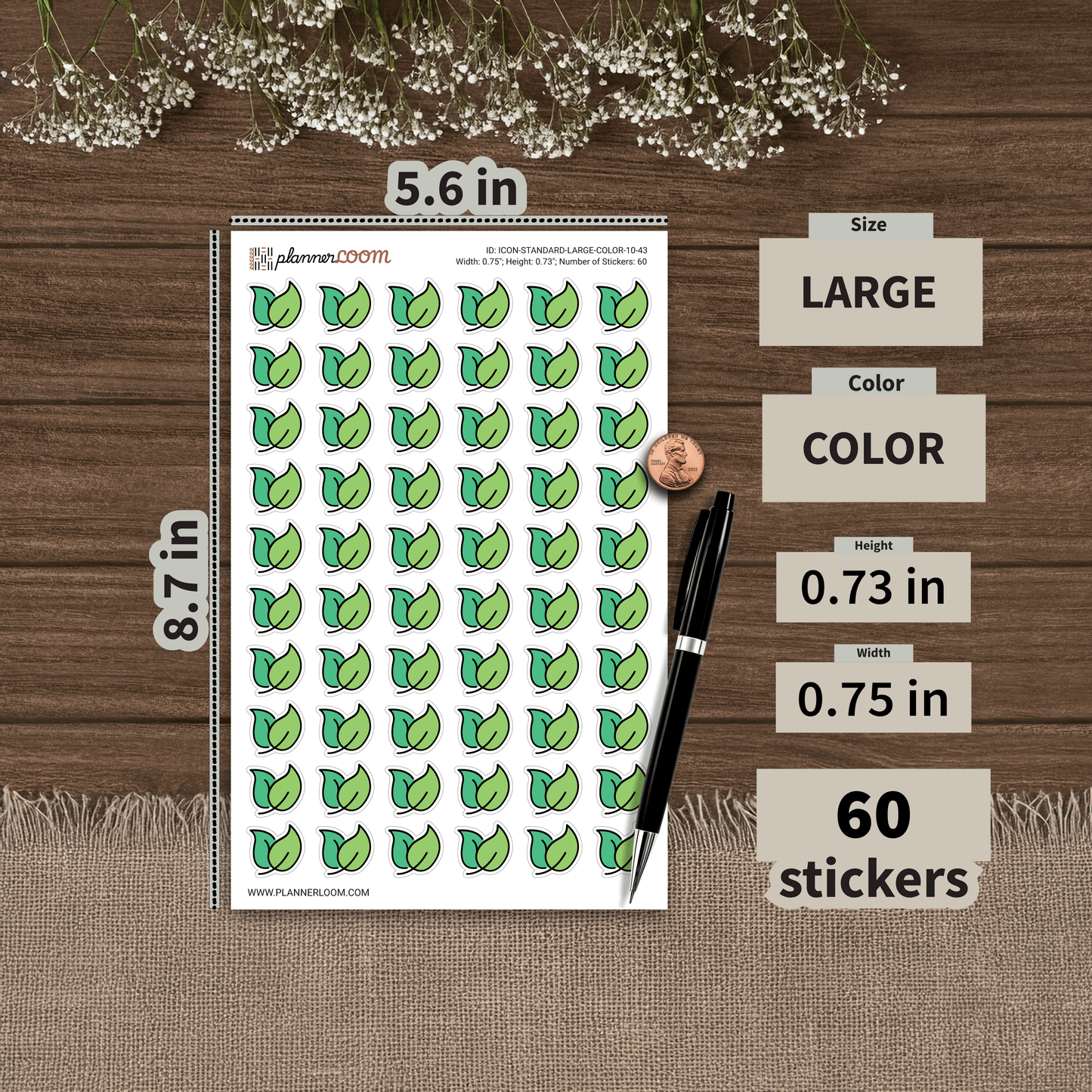ICON-STANDARD-LARGE-COLOR-10-43.png