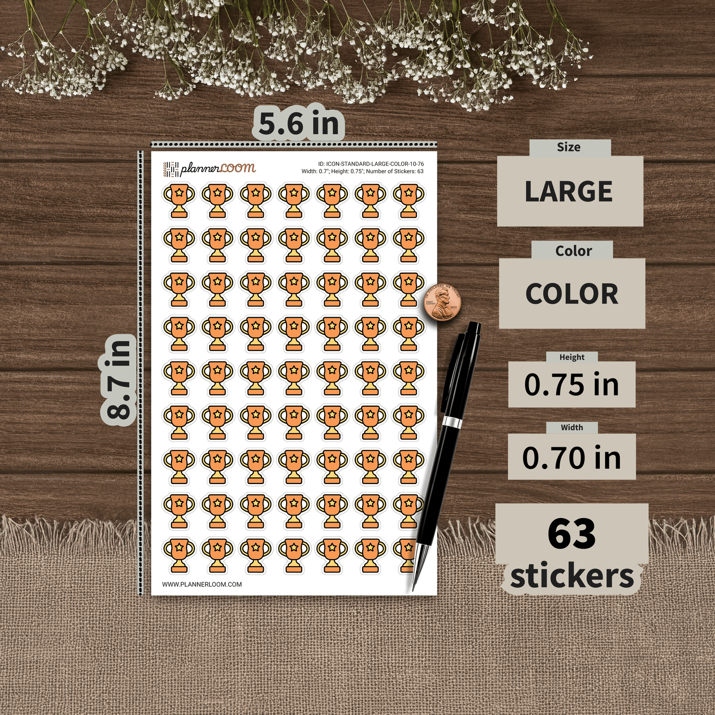 ICON-STANDARD-LARGE-COLOR-10-76.png