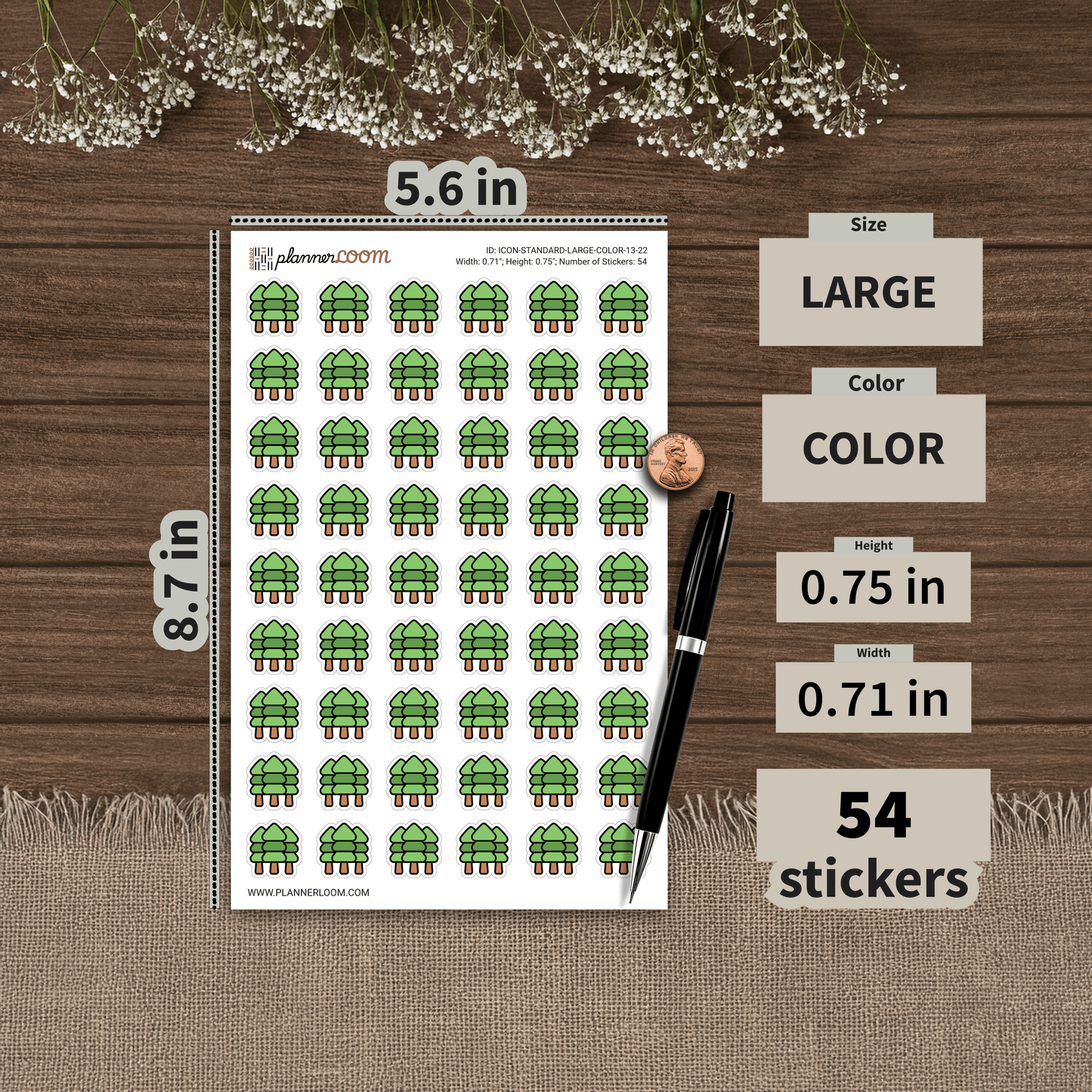 ICON-STANDARD-LARGE-COLOR-13-22.png