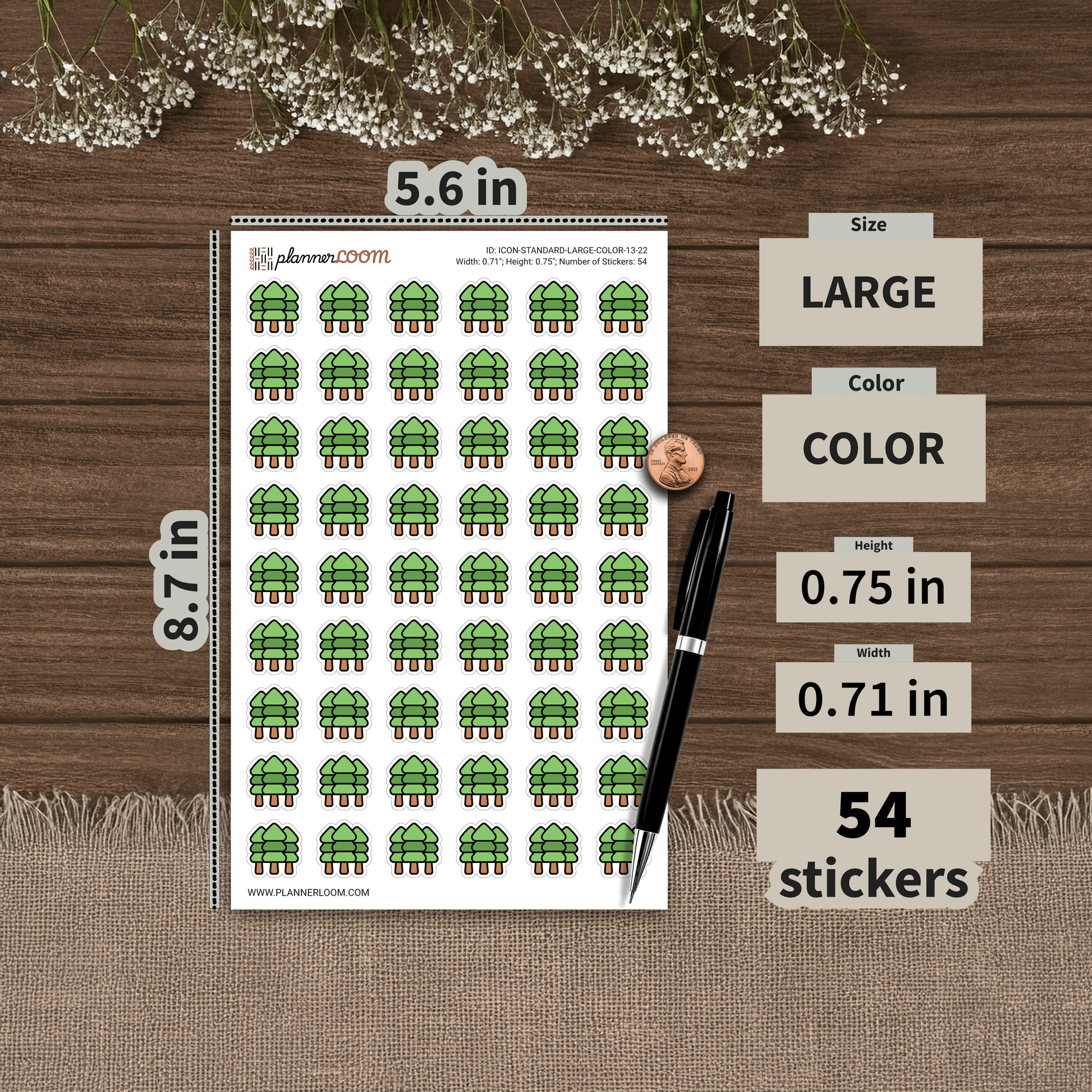 ICON-STANDARD-LARGE-COLOR-13-22.png