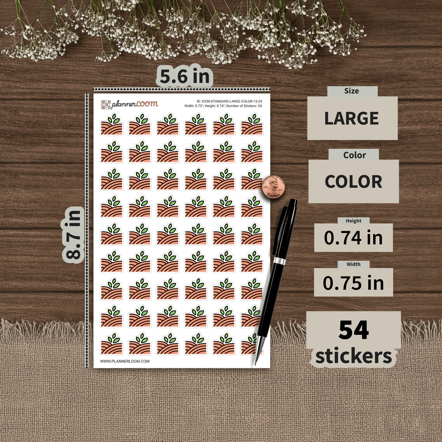 ICON-STANDARD-LARGE-COLOR-13-24.png