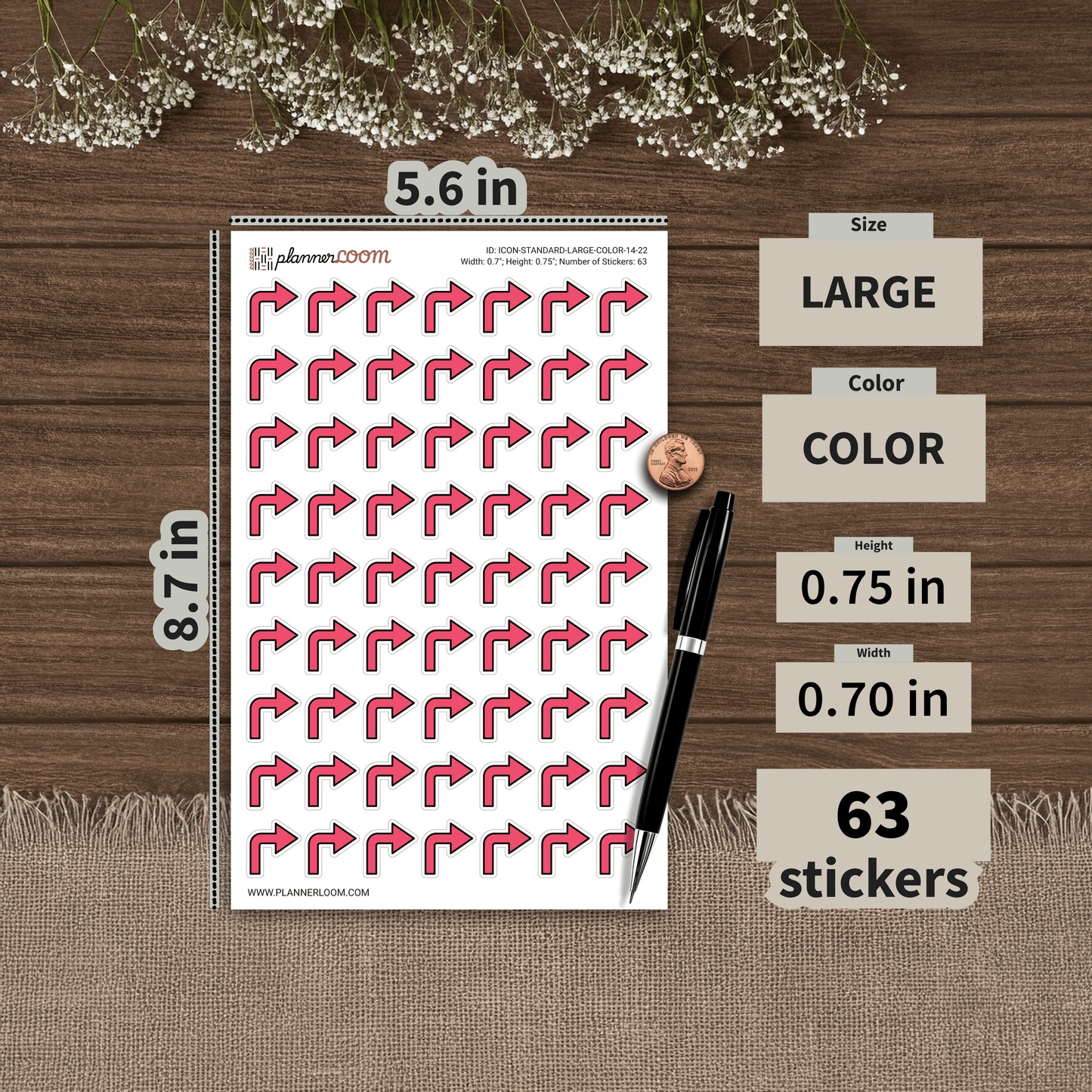 ICON-STANDARD-LARGE-COLOR-14-22.png