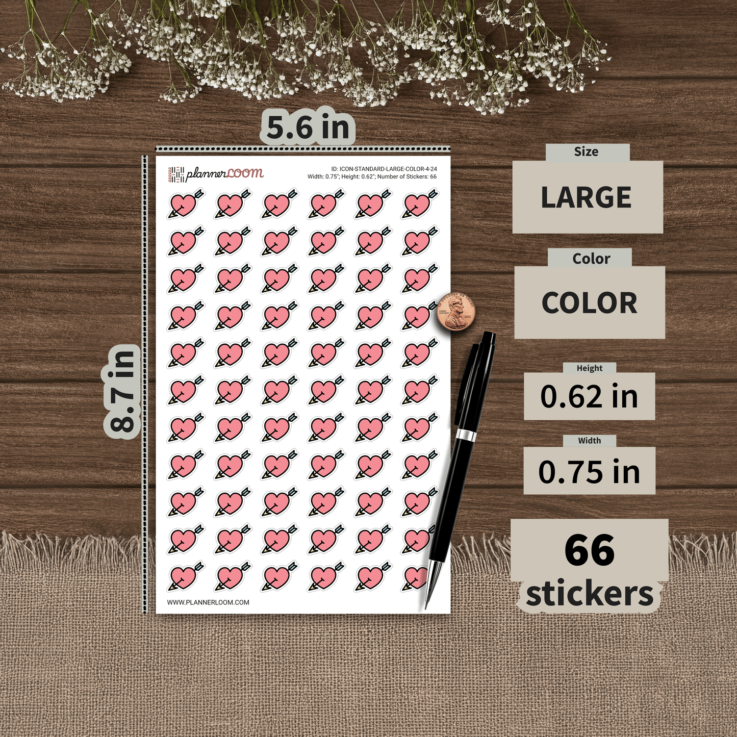 ICON-STANDARD-LARGE-COLOR-4-24.png