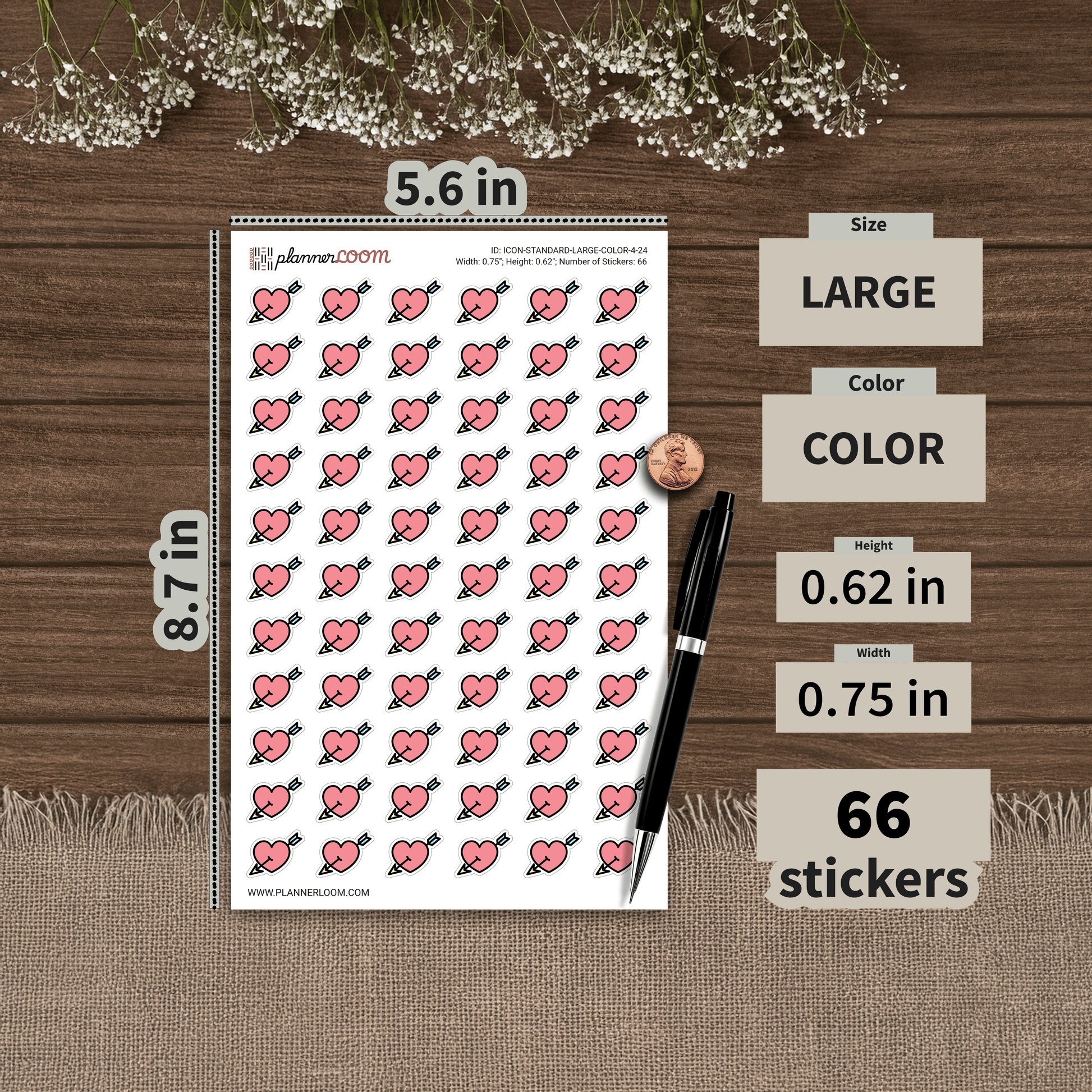 ICON-STANDARD-LARGE-COLOR-4-24.png