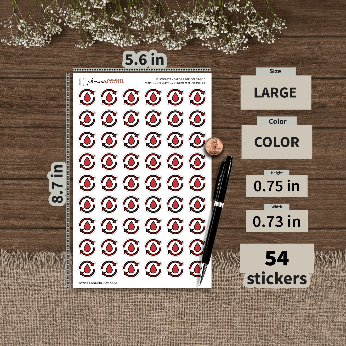 ICON-STANDARD-LARGE-COLOR-8-16.png