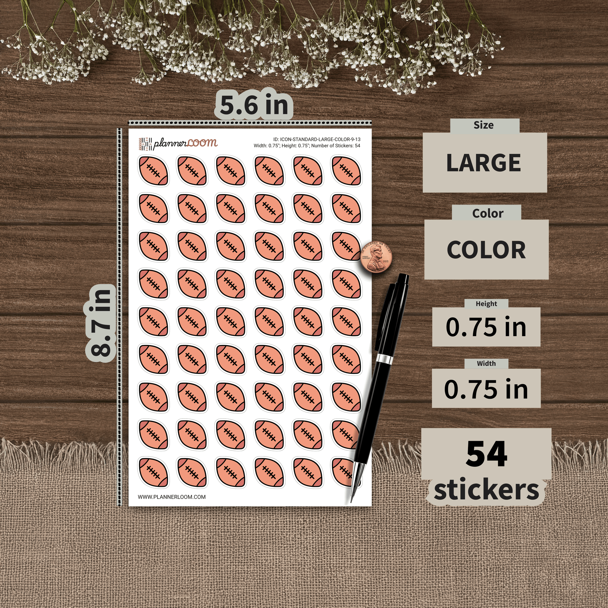 ICON-STANDARD-LARGE-COLOR-9-13.png