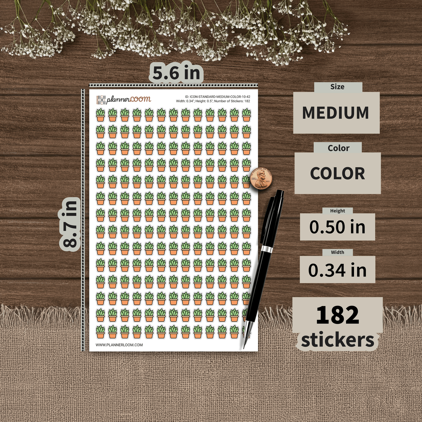 ICON-STANDARD-MEDIUM-COLOR-10-42.png