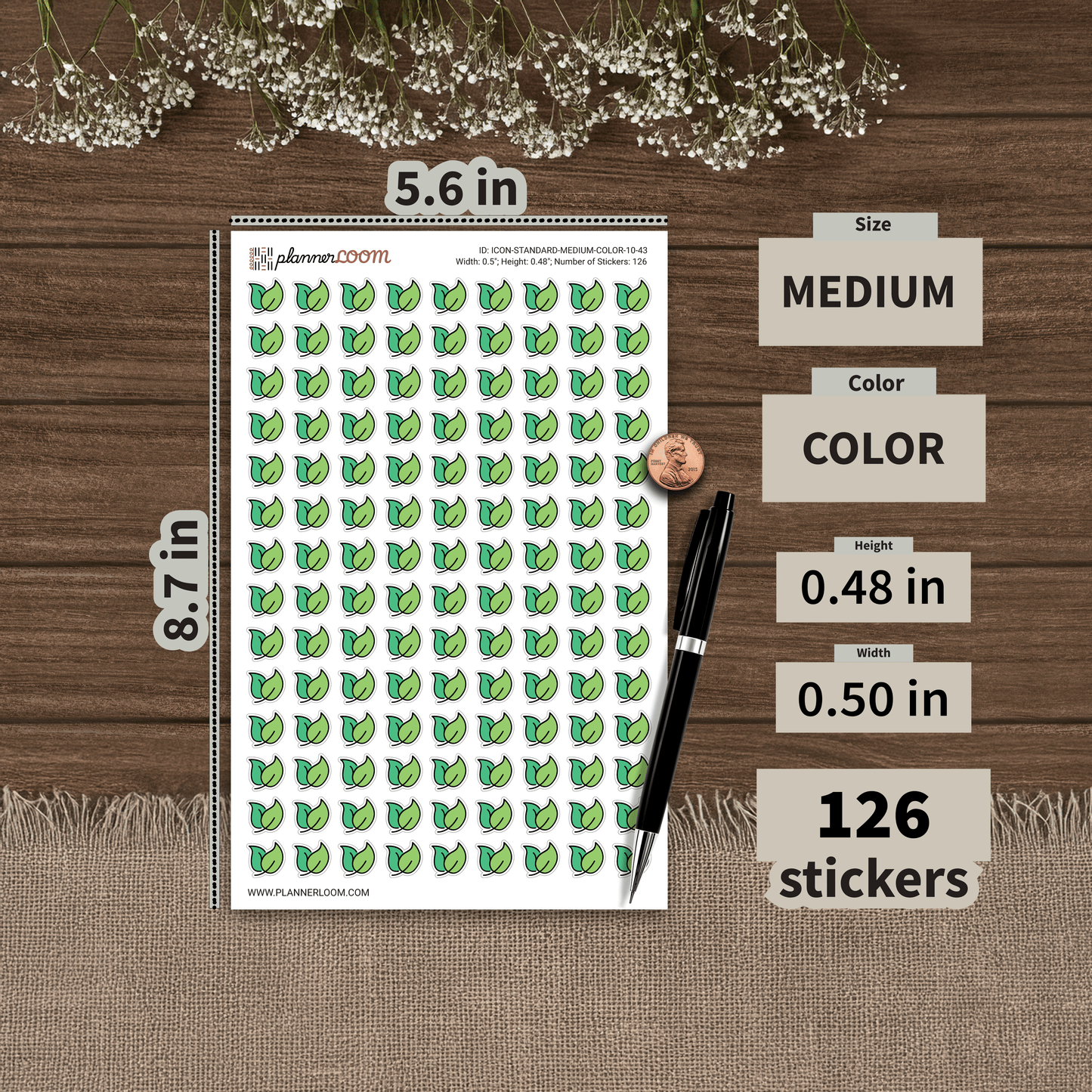 ICON-STANDARD-MEDIUM-COLOR-10-43.png