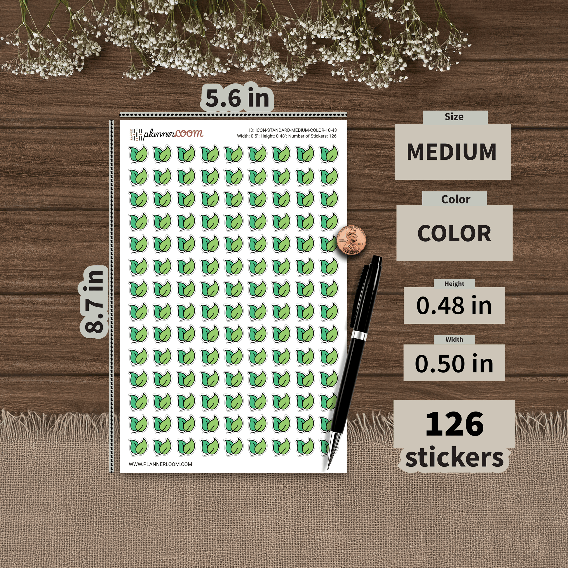 ICON-STANDARD-MEDIUM-COLOR-10-43.png