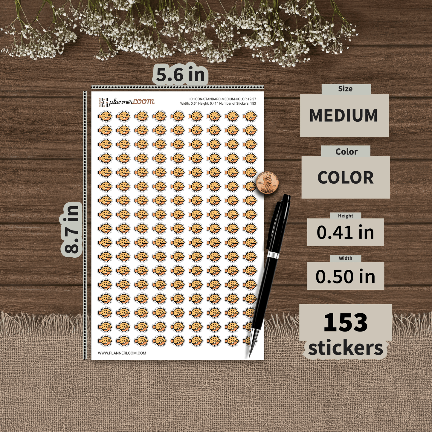 ICON-STANDARD-MEDIUM-COLOR-12-27.png