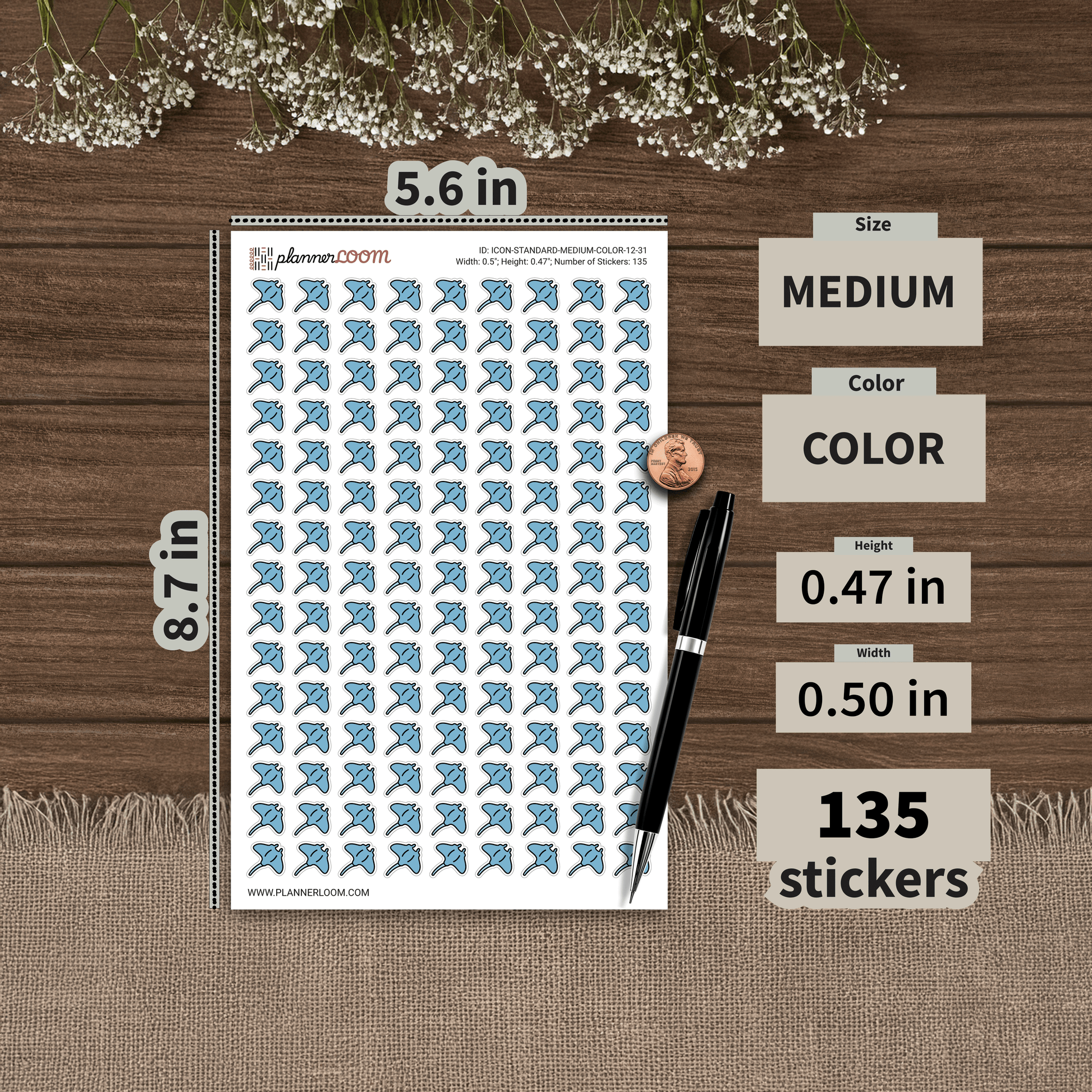 ICON-STANDARD-MEDIUM-COLOR-12-31.png