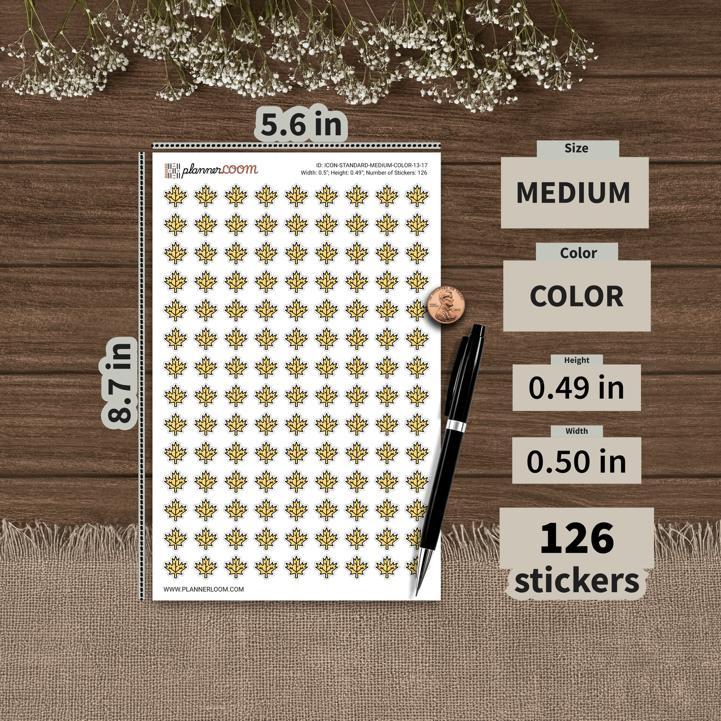 ICON-STANDARD-MEDIUM-COLOR-13-17.png