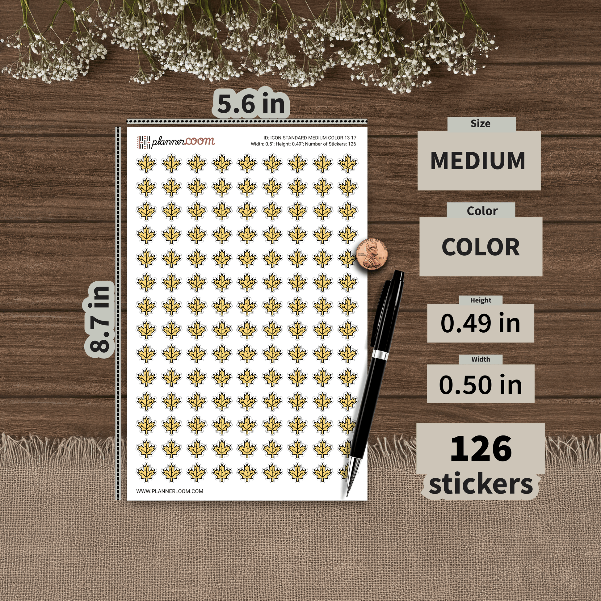 ICON-STANDARD-MEDIUM-COLOR-13-17.png