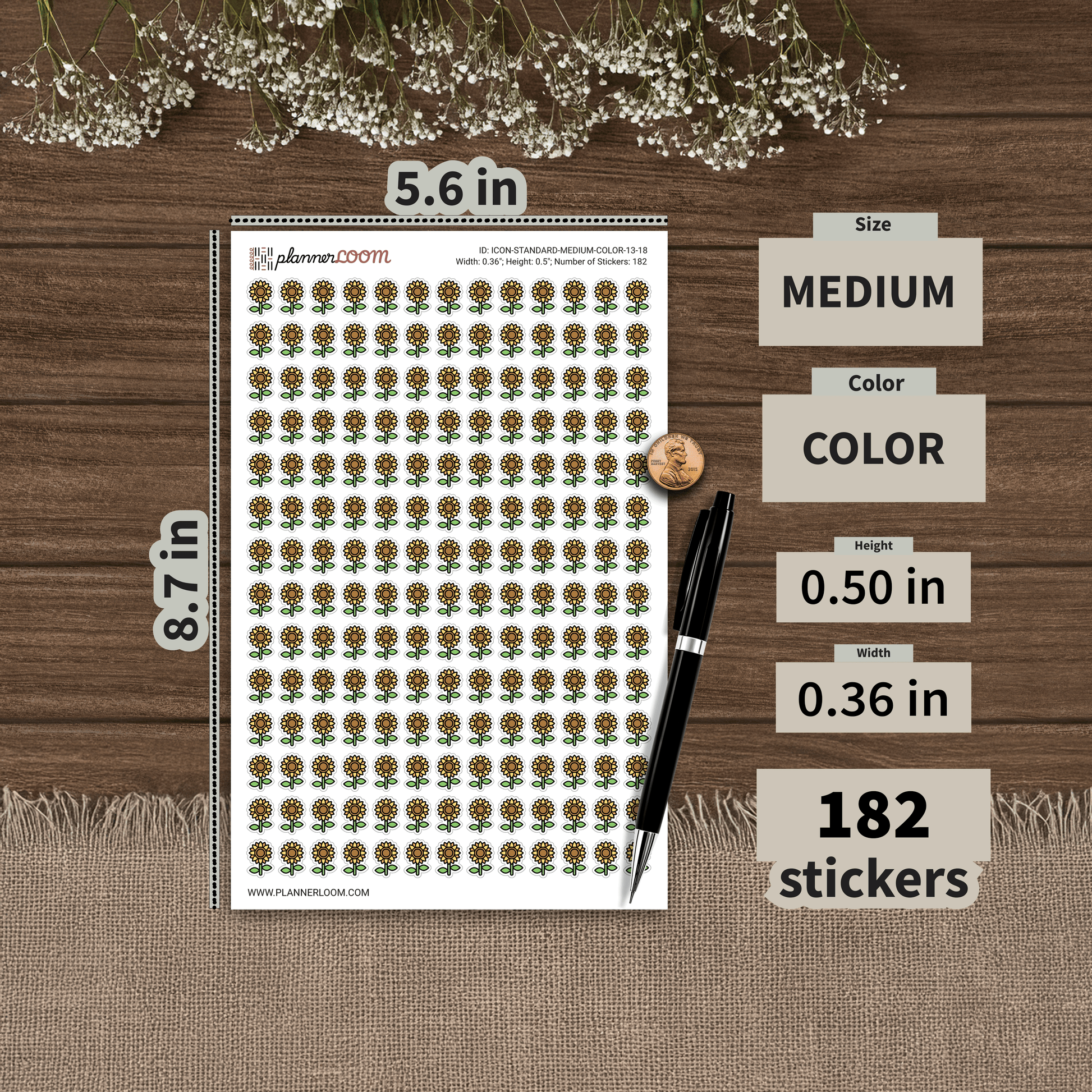 ICON-STANDARD-MEDIUM-COLOR-13-18.png