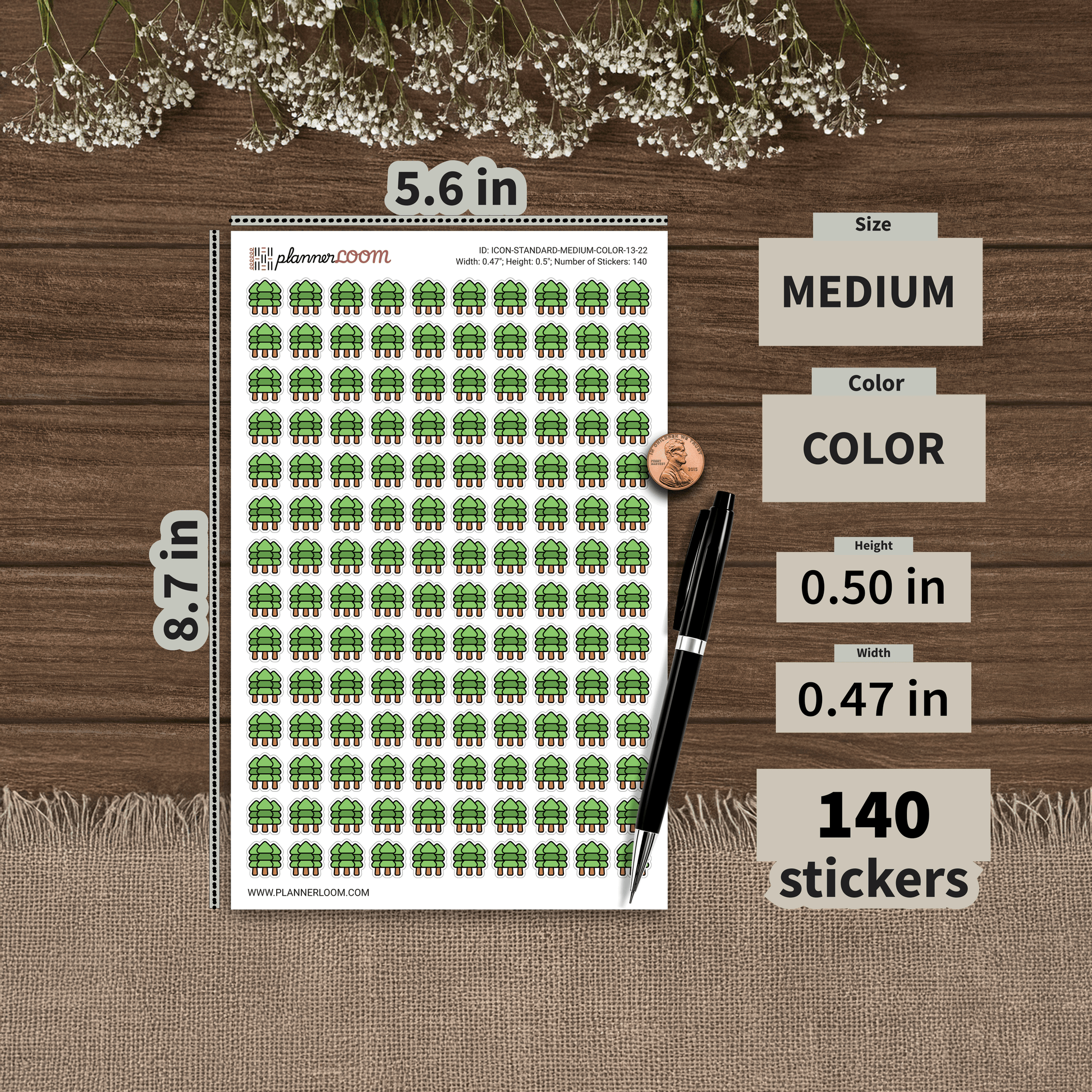 ICON-STANDARD-MEDIUM-COLOR-13-22.png