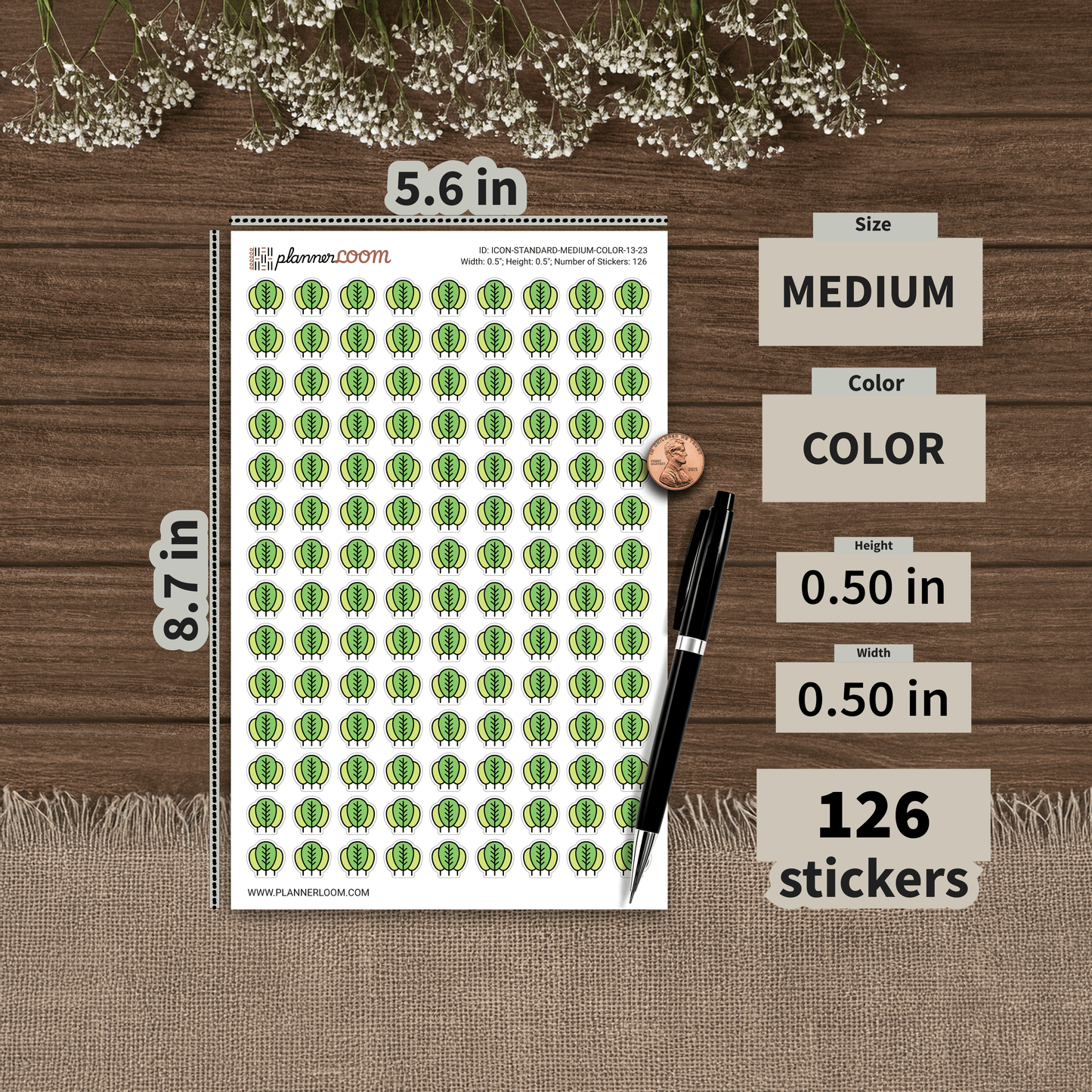 ICON-STANDARD-MEDIUM-COLOR-13-23.png