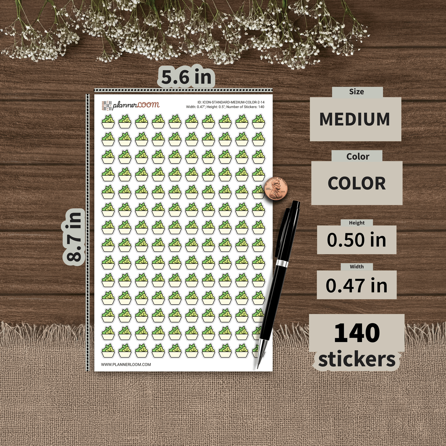 ICON-STANDARD-MEDIUM-COLOR-2-14.png