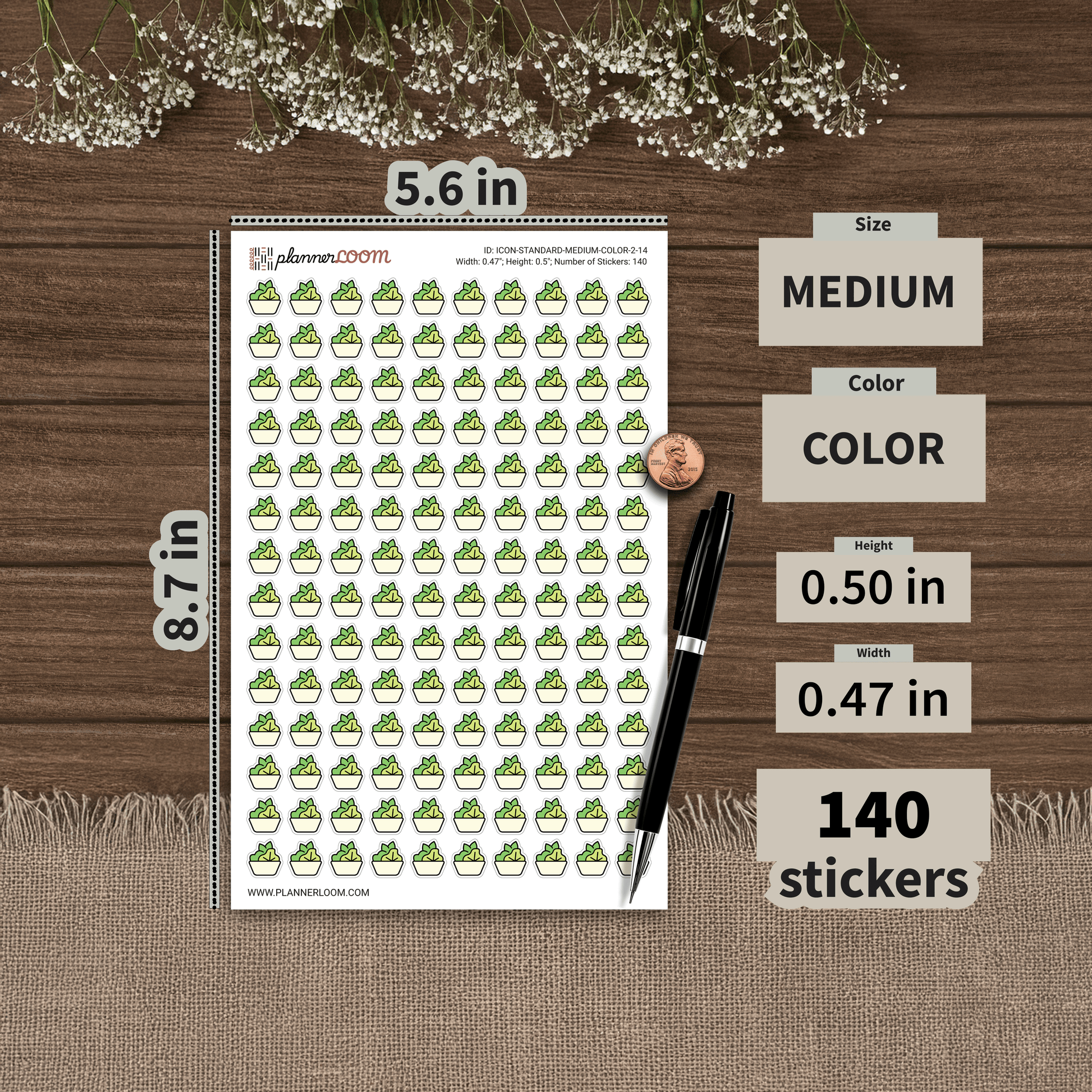 ICON-STANDARD-MEDIUM-COLOR-2-14.png