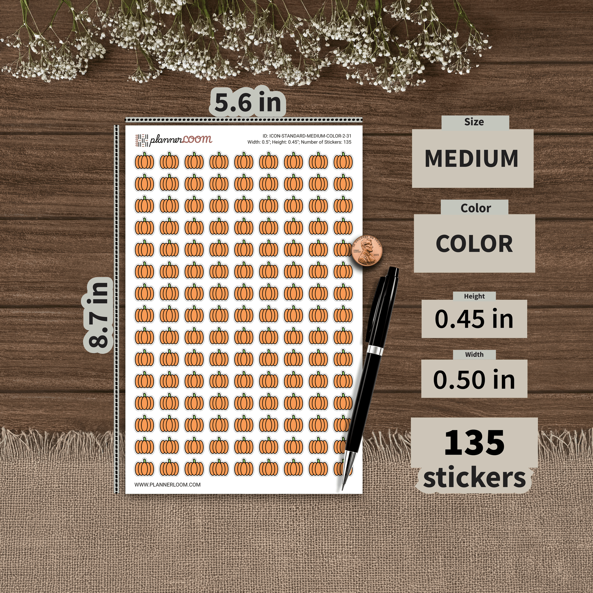 ICON-STANDARD-MEDIUM-COLOR-2-31.png