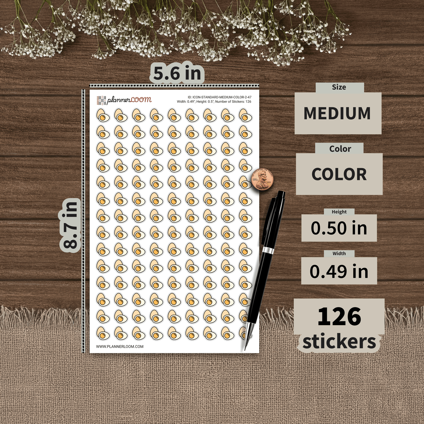 ICON-STANDARD-MEDIUM-COLOR-2-47.png