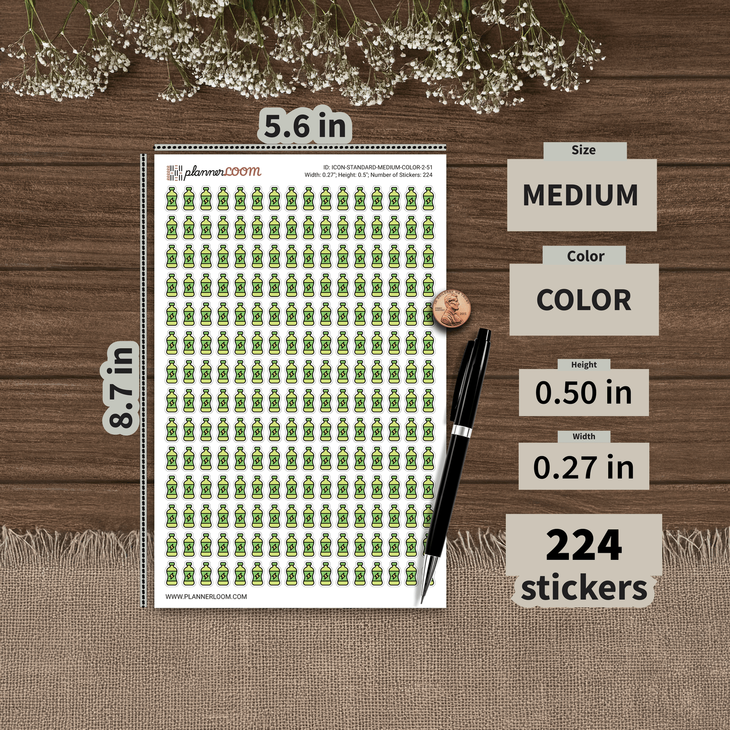 ICON-STANDARD-MEDIUM-COLOR-2-51.png