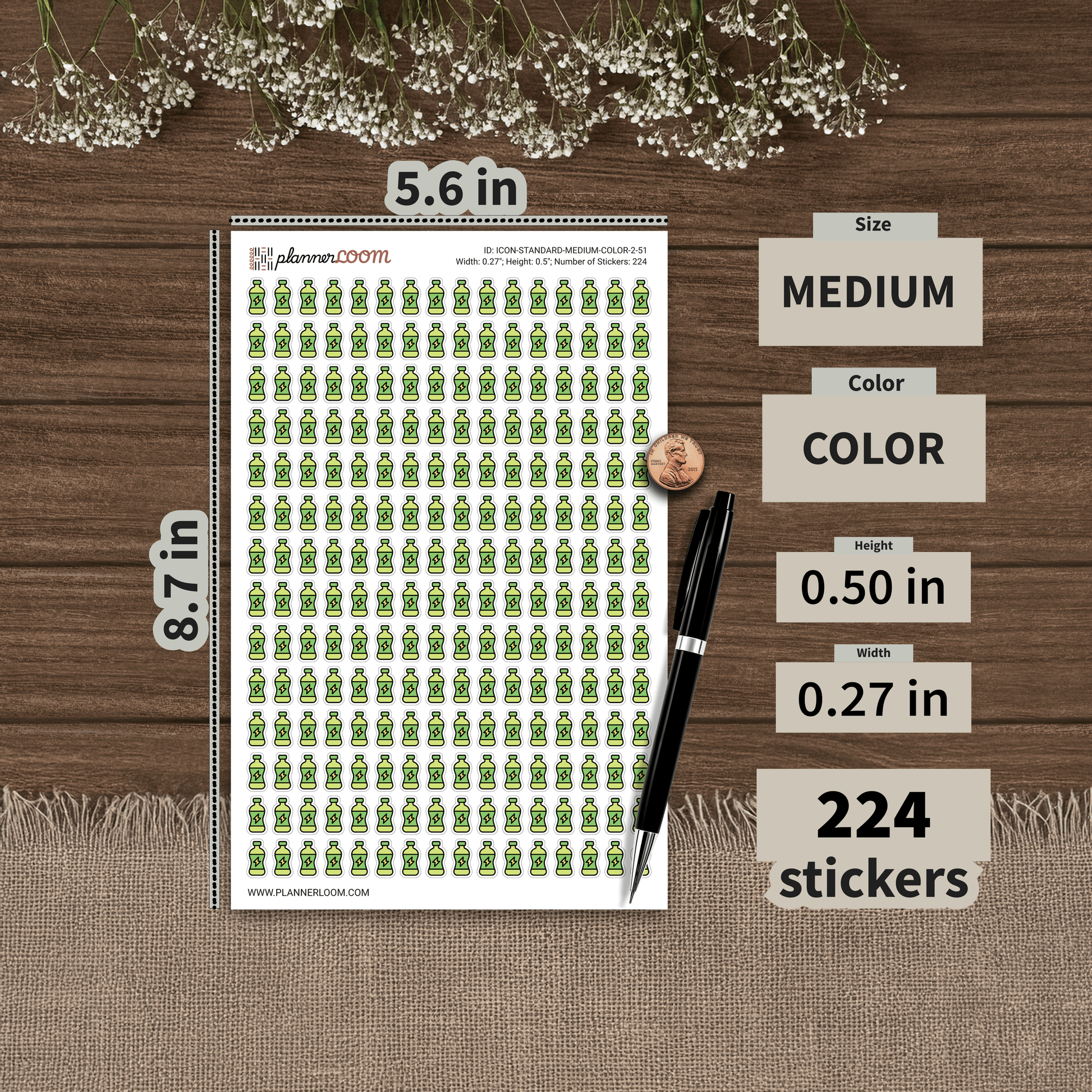 ICON-STANDARD-MEDIUM-COLOR-2-51.png