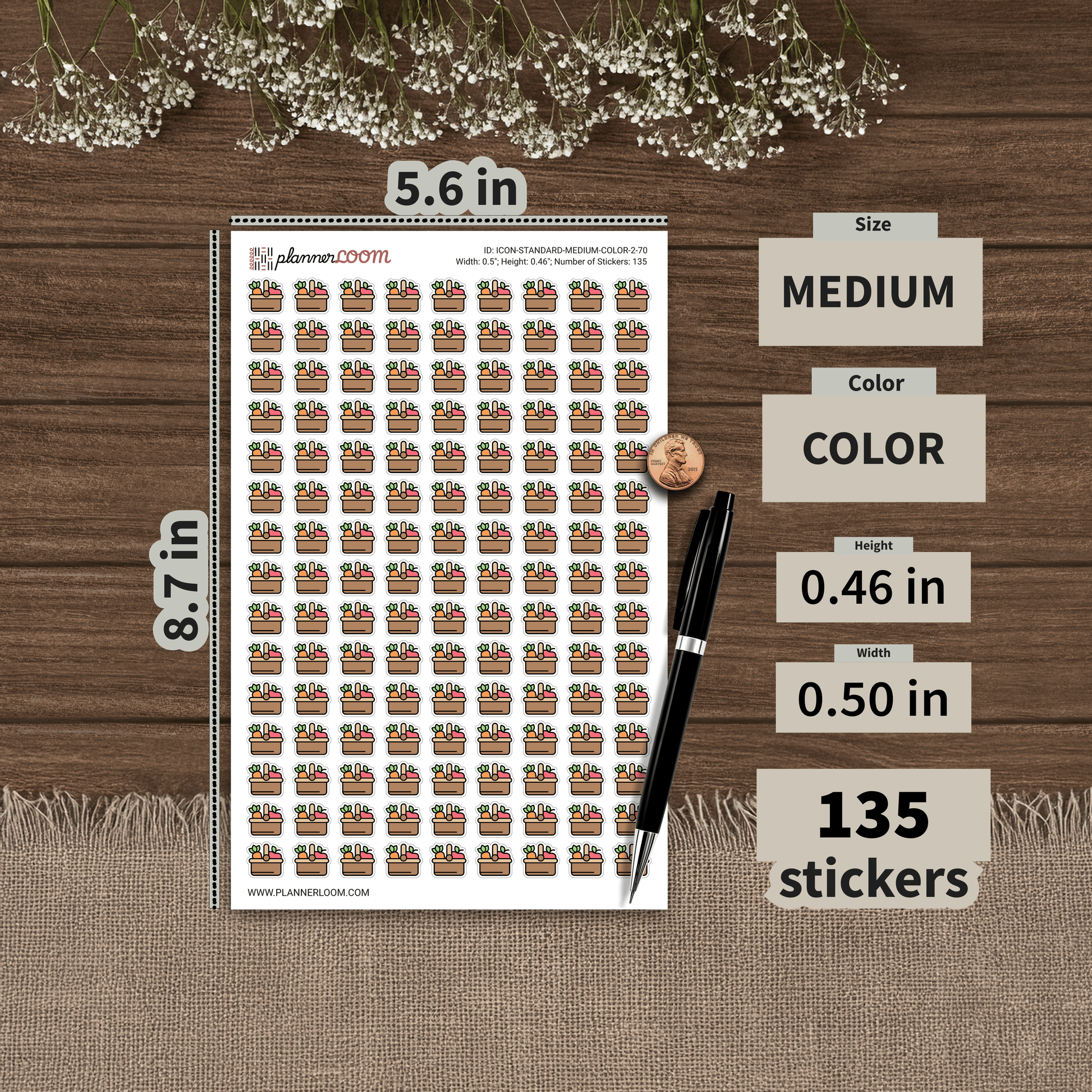 ICON-STANDARD-MEDIUM-COLOR-2-70.png