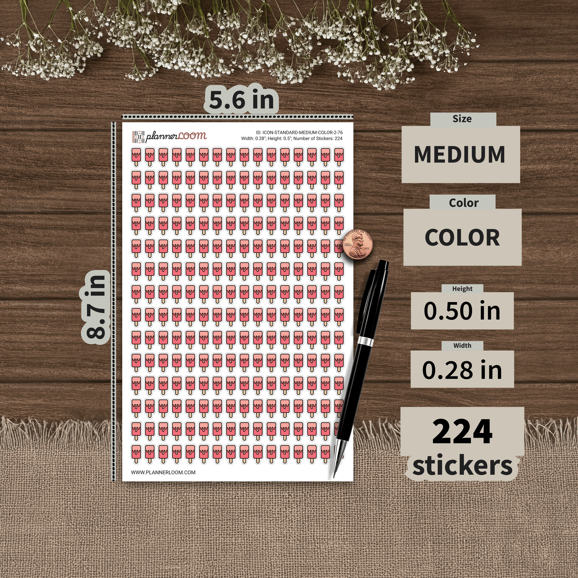 ICON-STANDARD-MEDIUM-COLOR-2-76.png