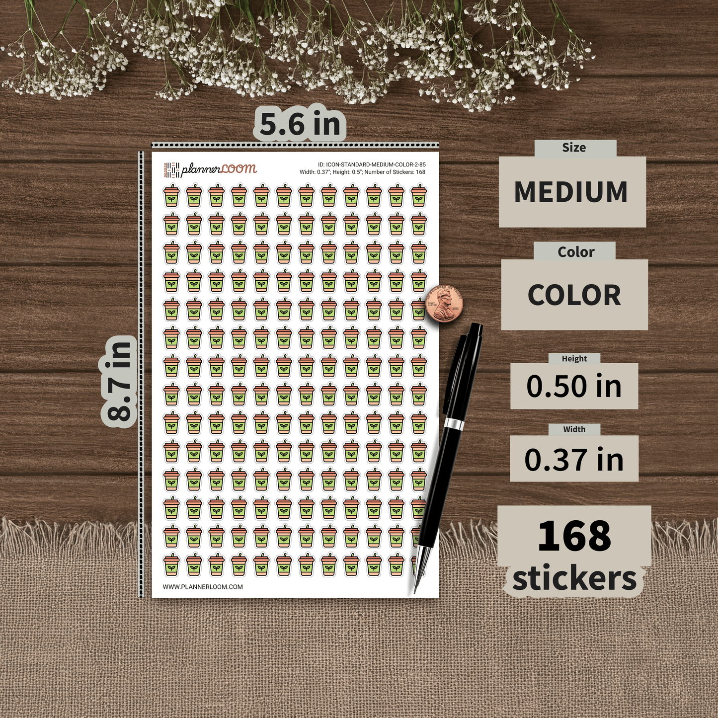 ICON-STANDARD-MEDIUM-COLOR-2-85.png