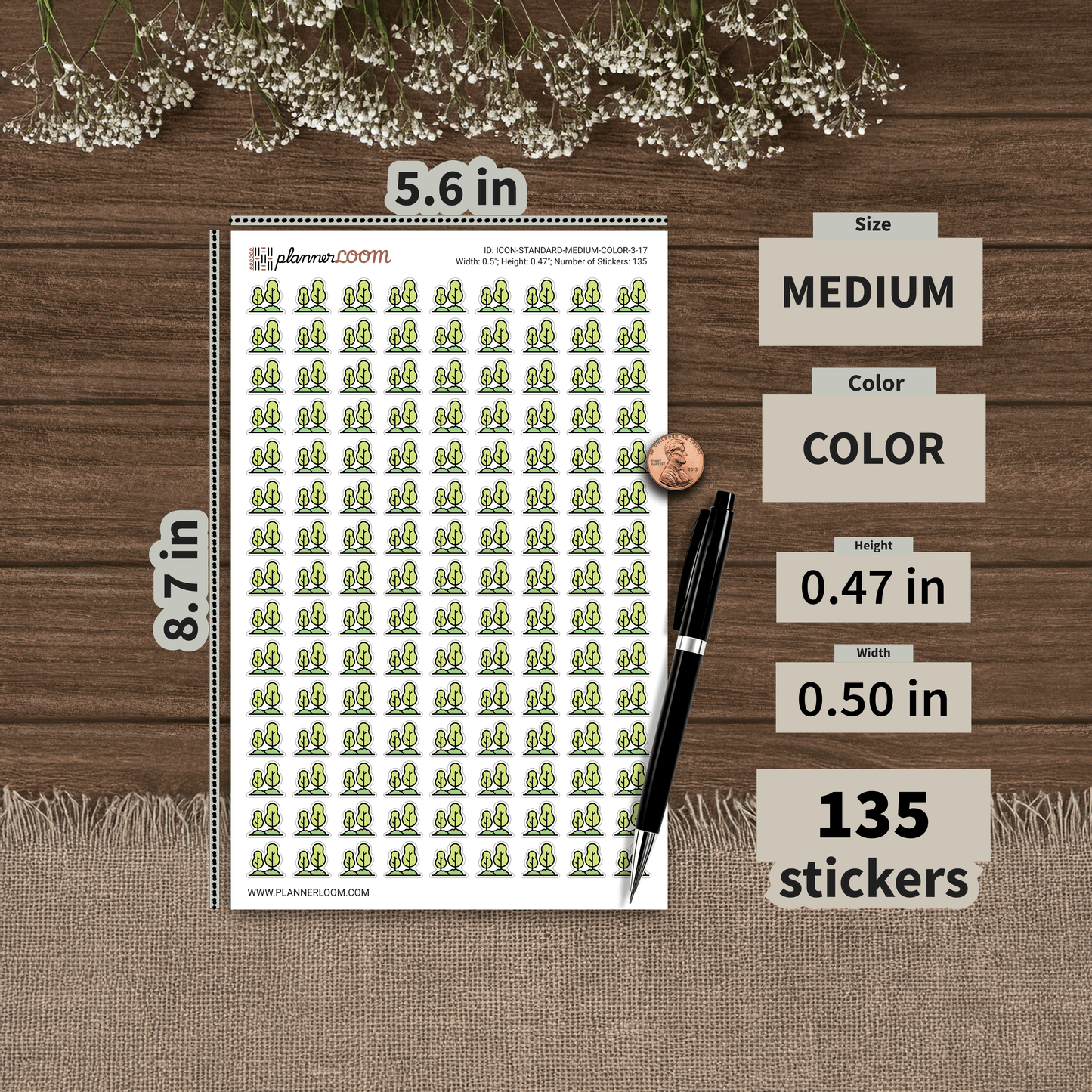 ICON-STANDARD-MEDIUM-COLOR-3-17.png
