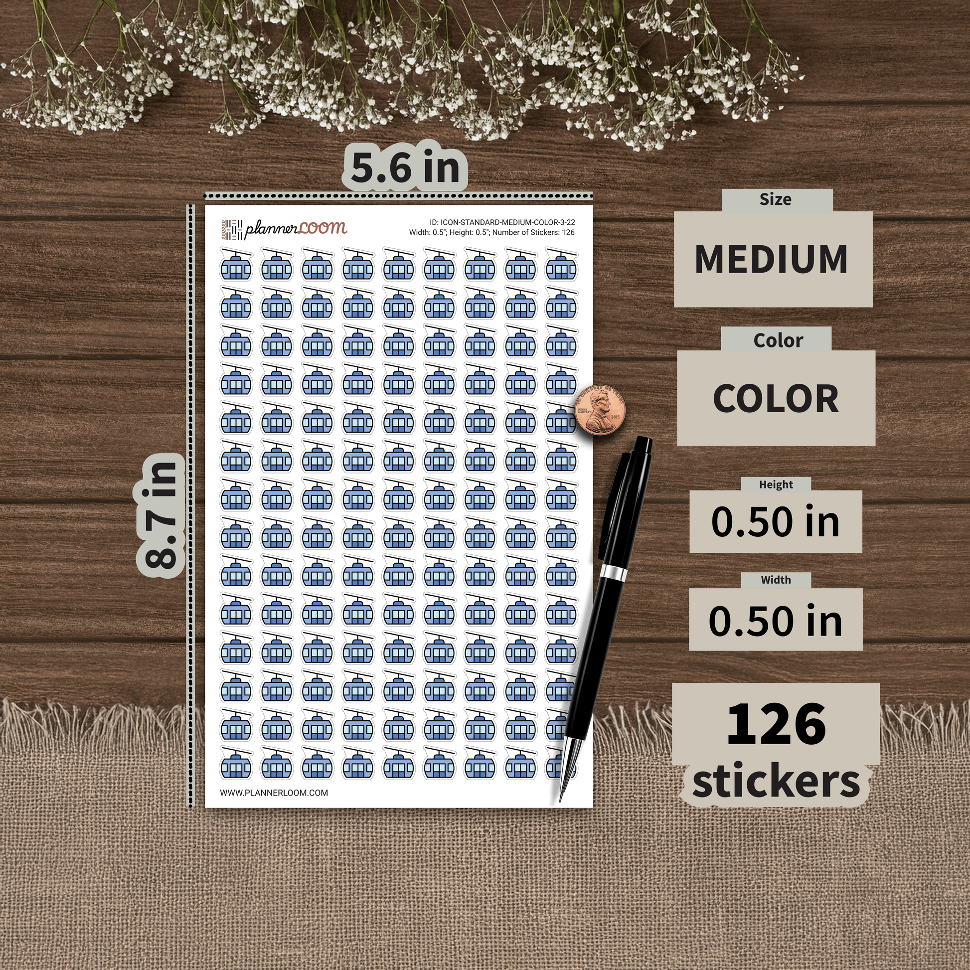 ICON-STANDARD-MEDIUM-COLOR-3-22.png
