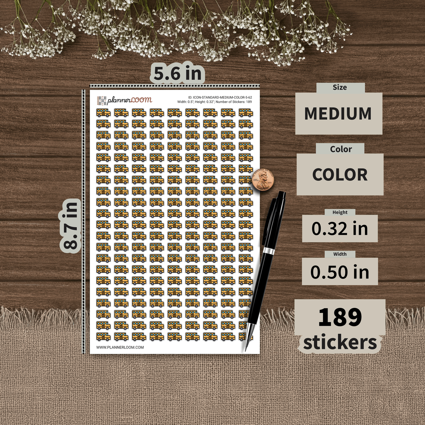 ICON-STANDARD-MEDIUM-COLOR-5-62.png