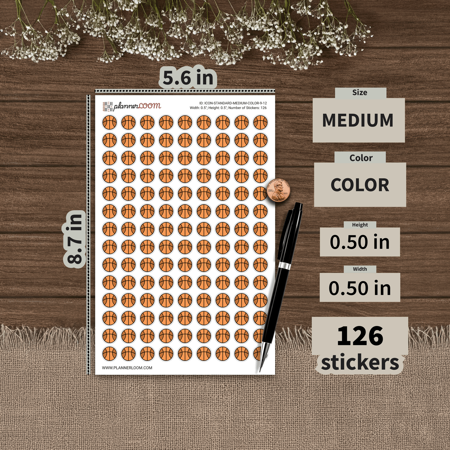 ICON-STANDARD-MEDIUM-COLOR-9-12.png