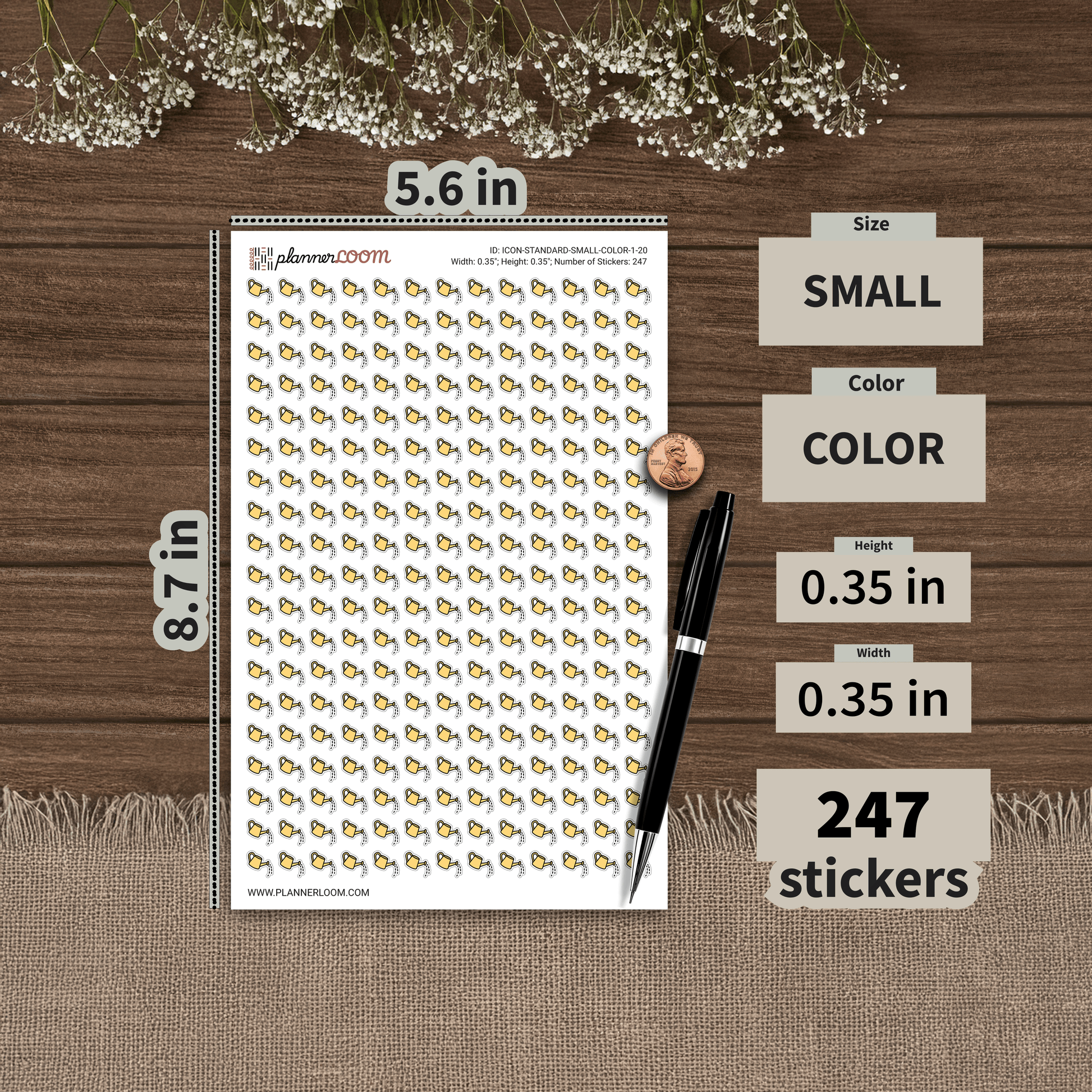 ICON-STANDARD-SMALL-COLOR-1-20.png