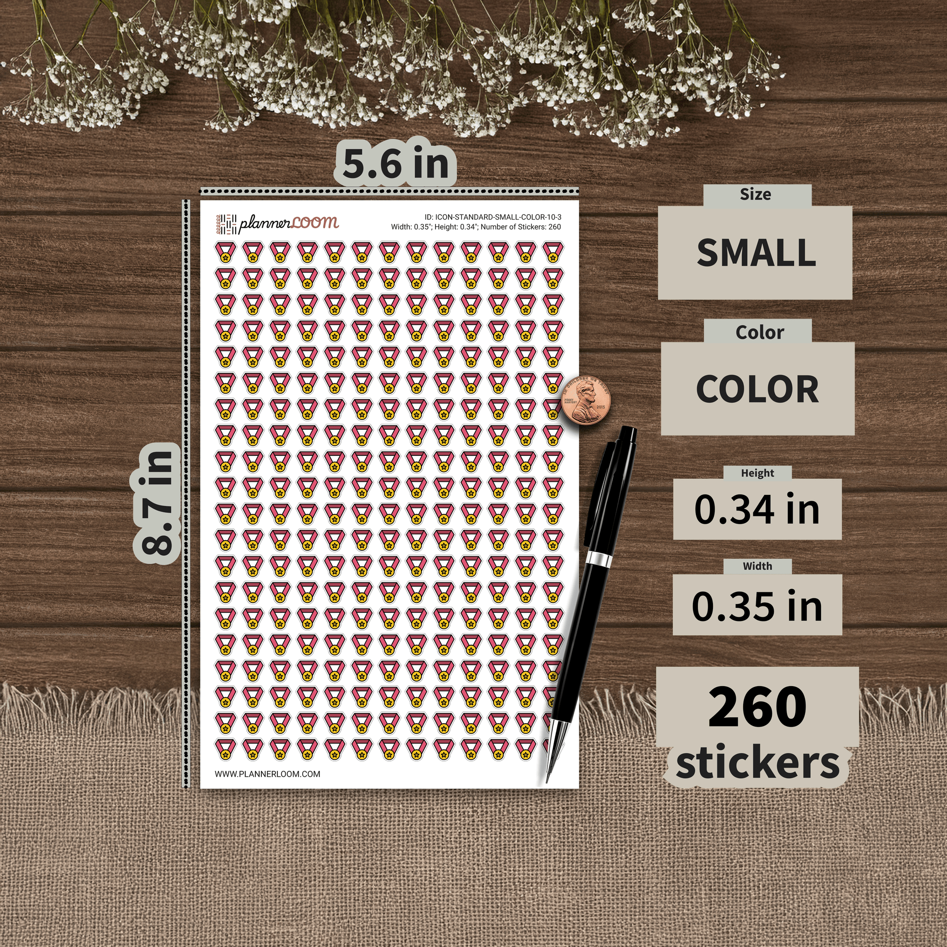ICON-STANDARD-SMALL-COLOR-10-3.png