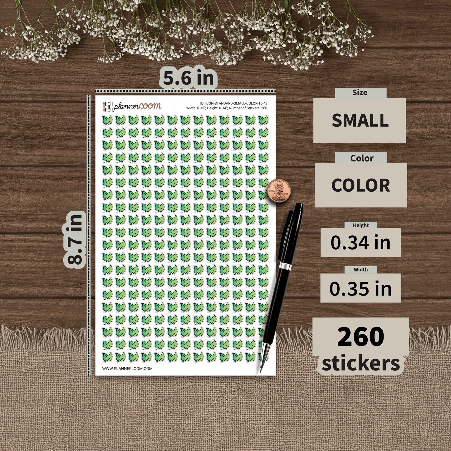 ICON-STANDARD-SMALL-COLOR-10-43.png