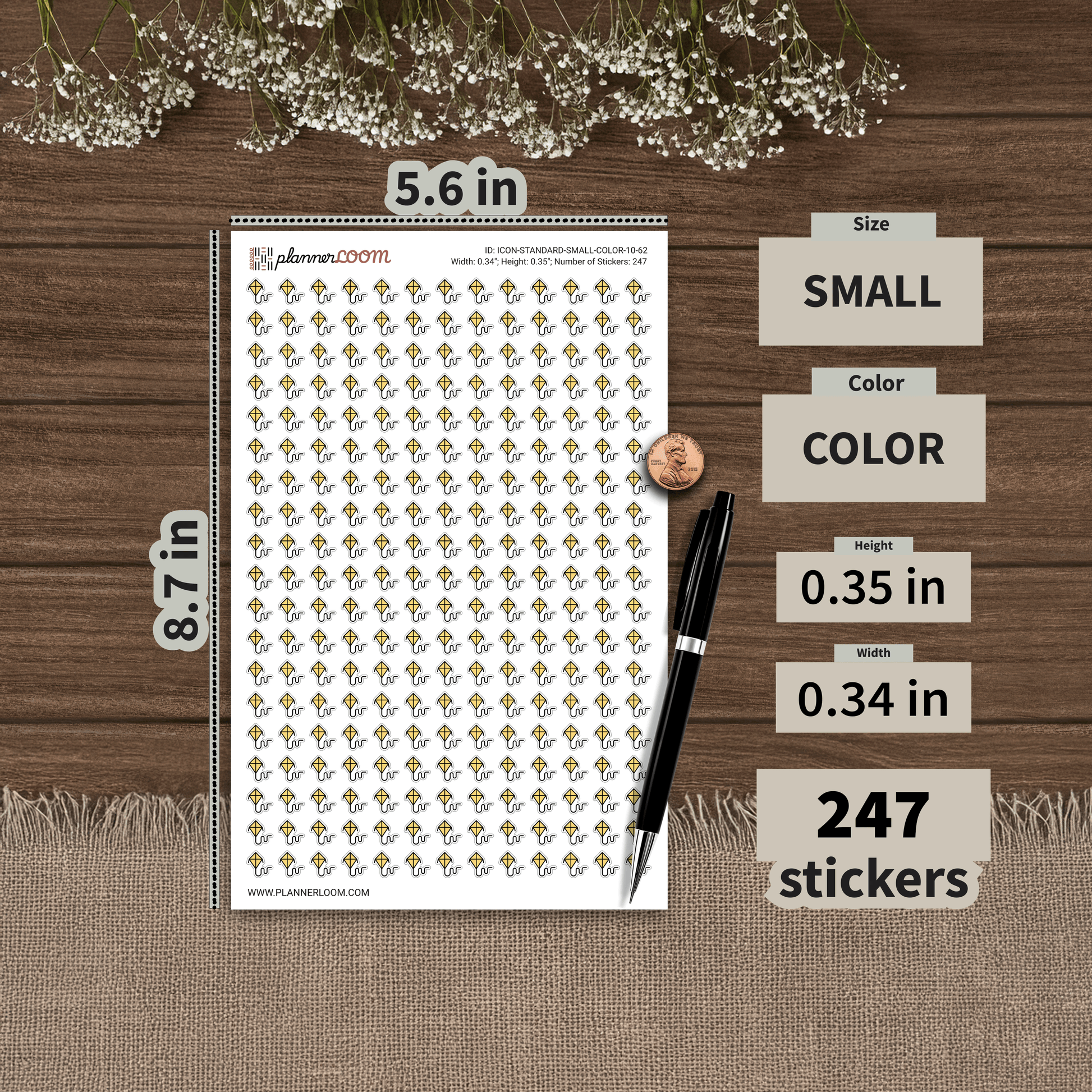 ICON-STANDARD-SMALL-COLOR-10-62.png