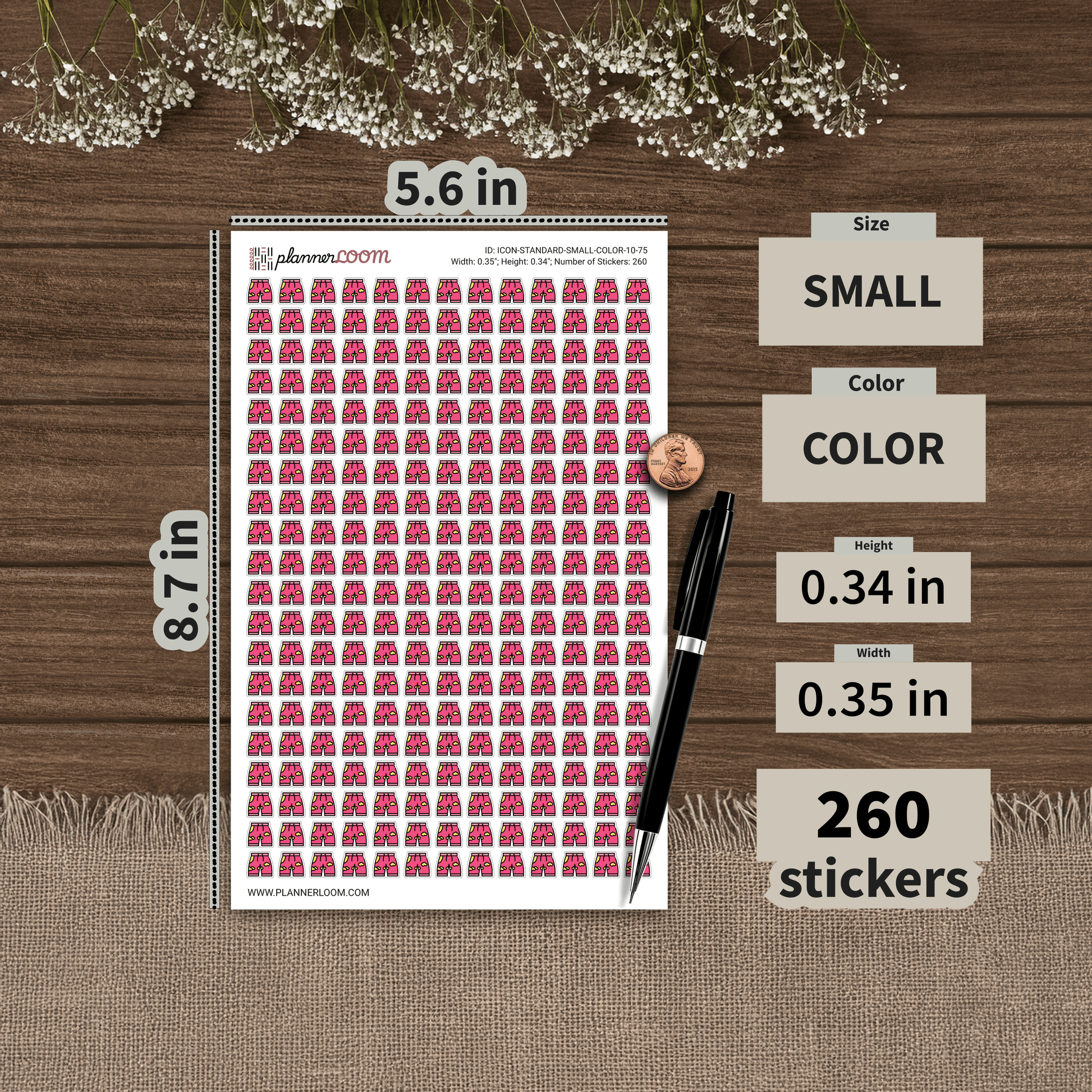 ICON-STANDARD-SMALL-COLOR-10-75.png