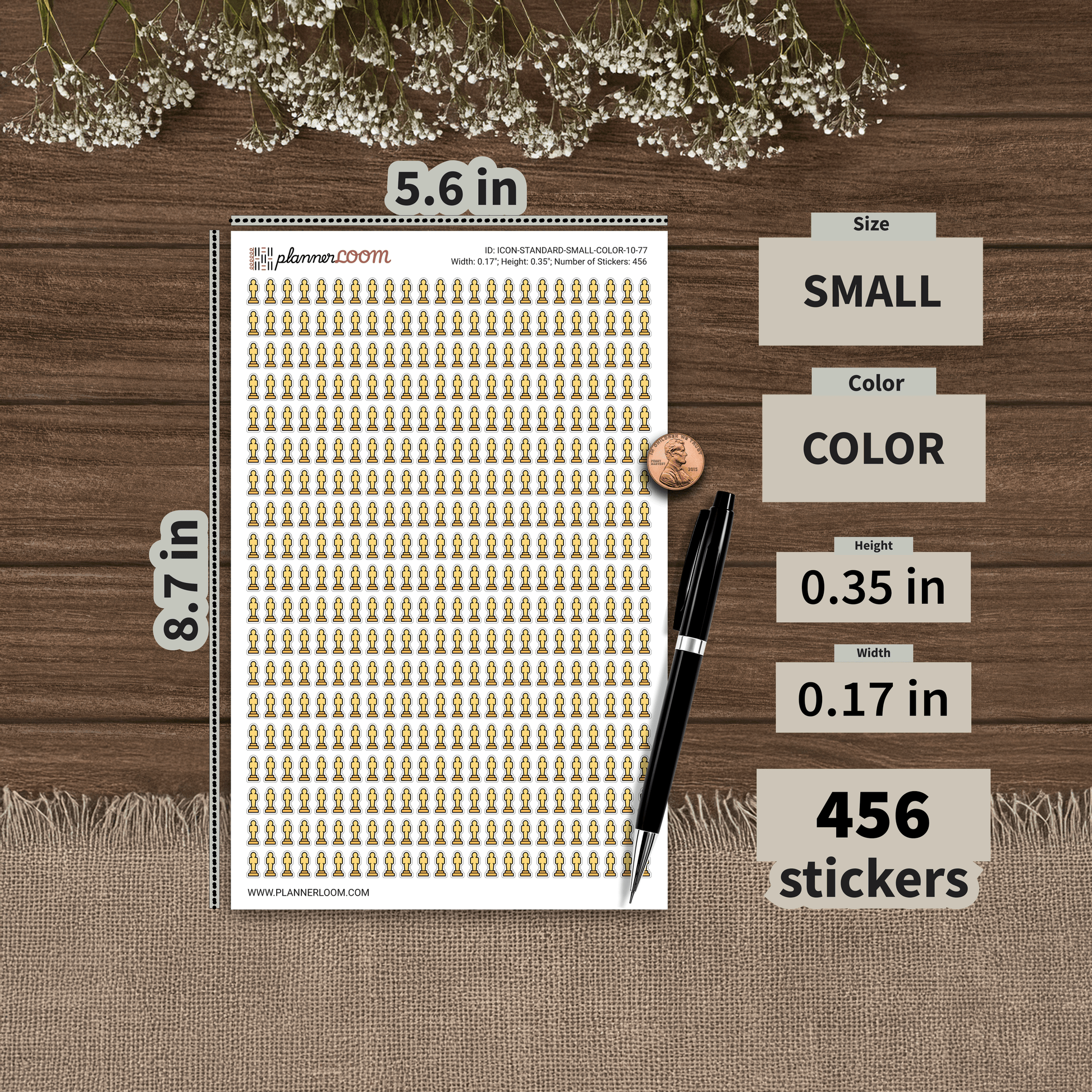 ICON-STANDARD-SMALL-COLOR-10-77.png