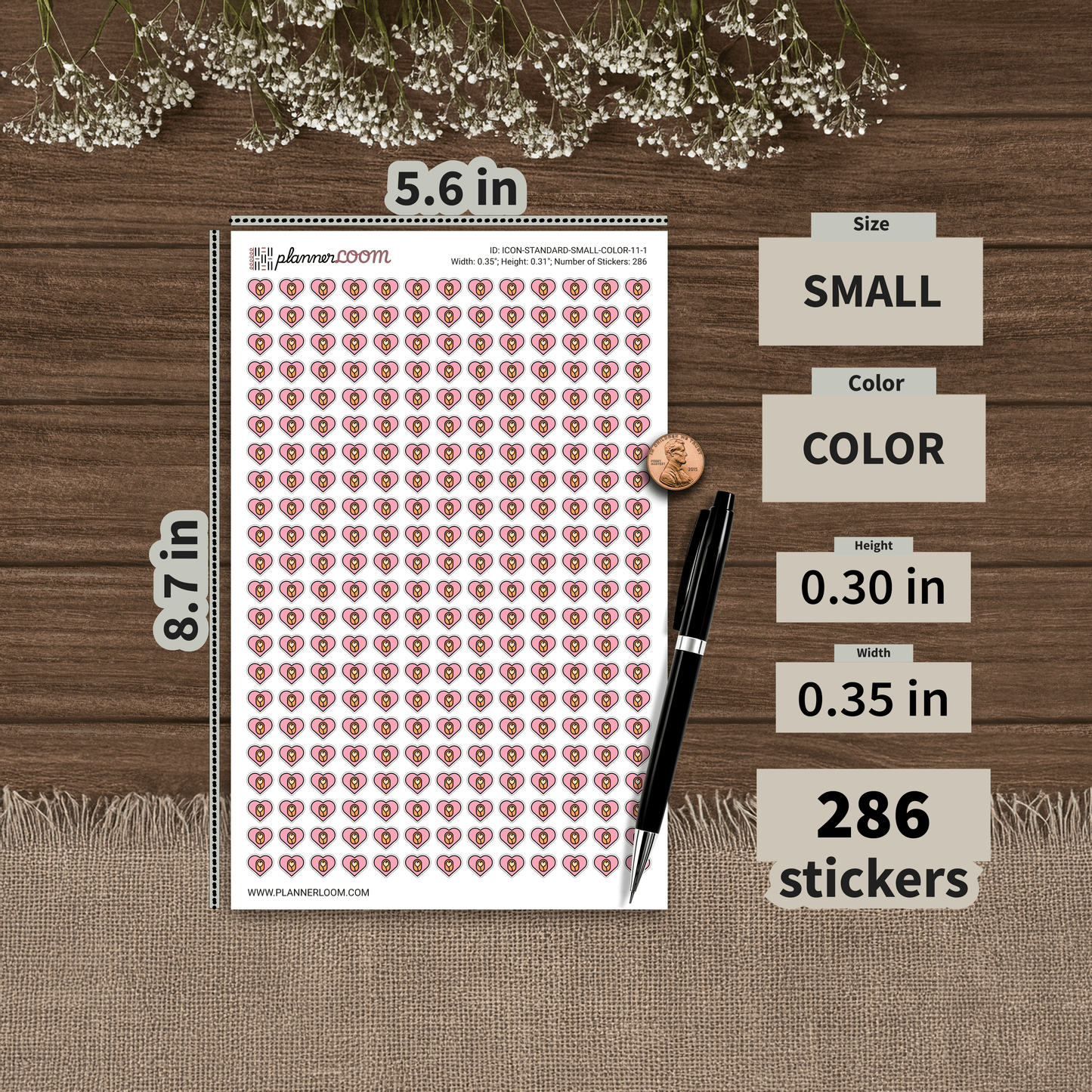 ICON-STANDARD-SMALL-COLOR-11-1.png