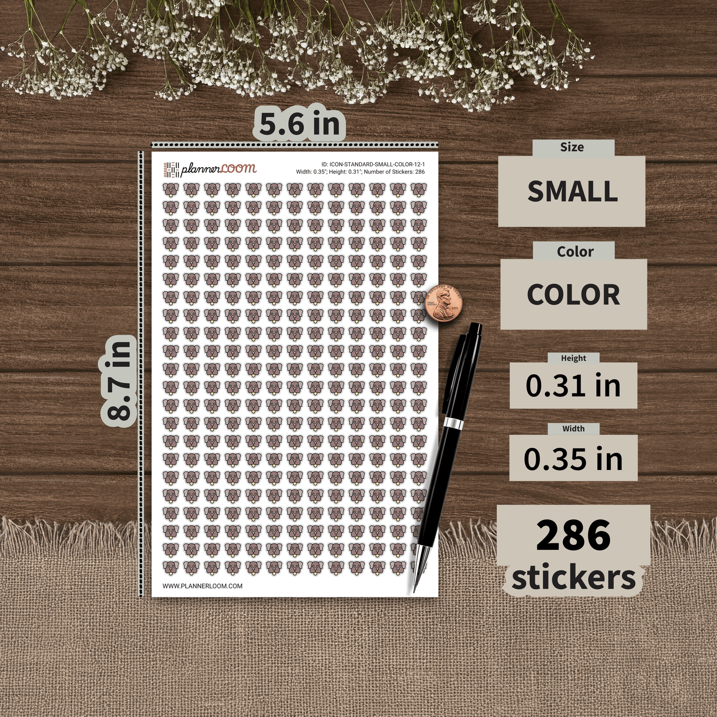 ICON-STANDARD-SMALL-COLOR-12-1.png