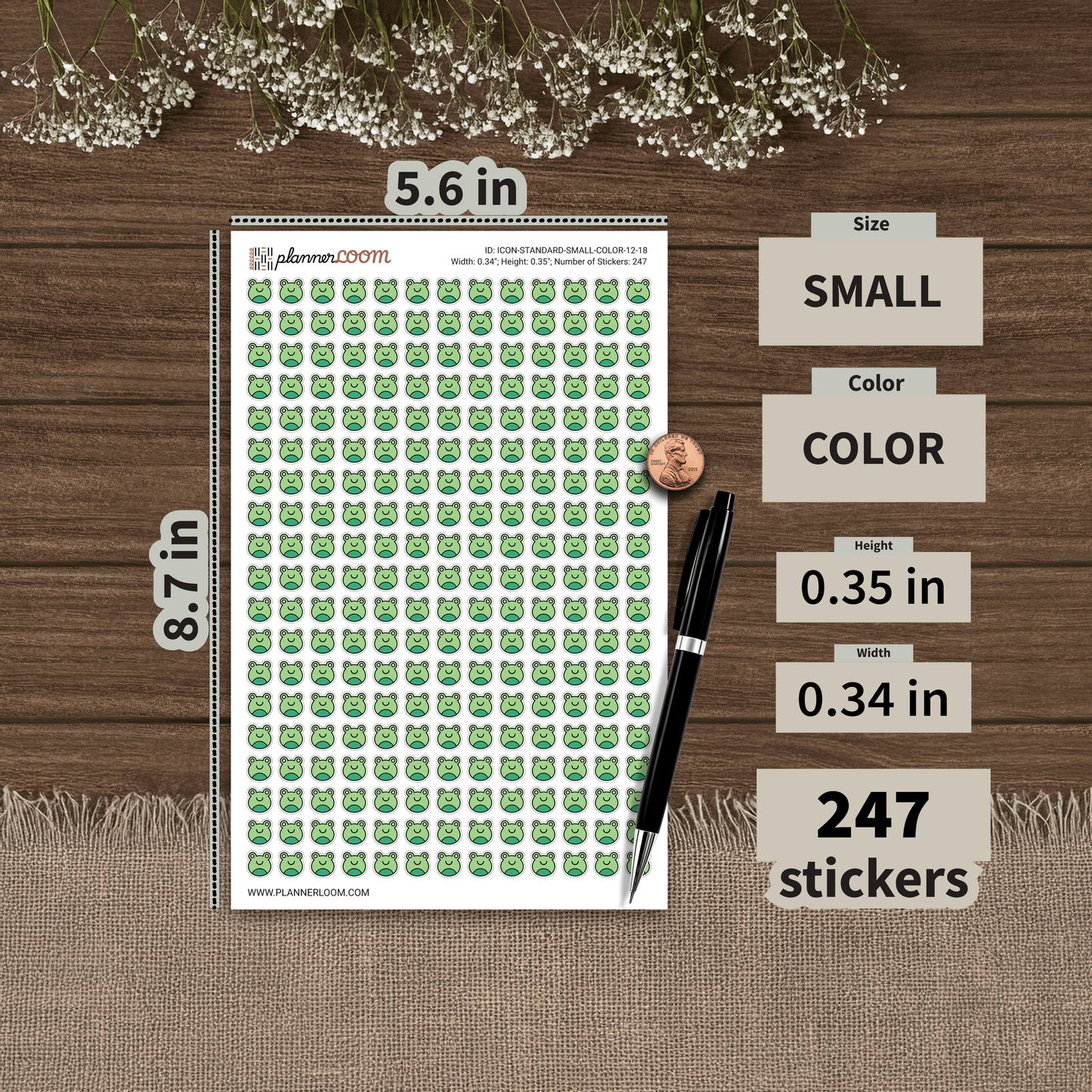 ICON-STANDARD-SMALL-COLOR-12-18.png