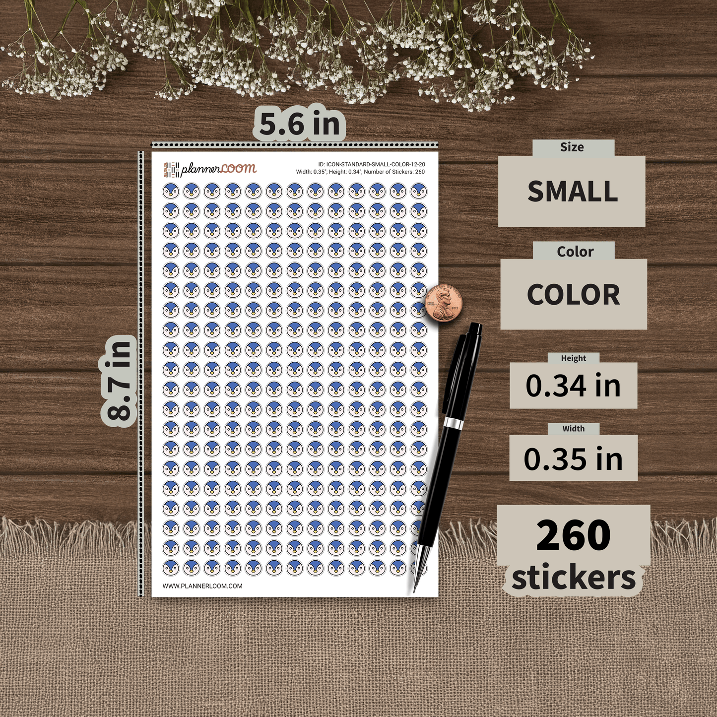 ICON-STANDARD-SMALL-COLOR-12-20.png