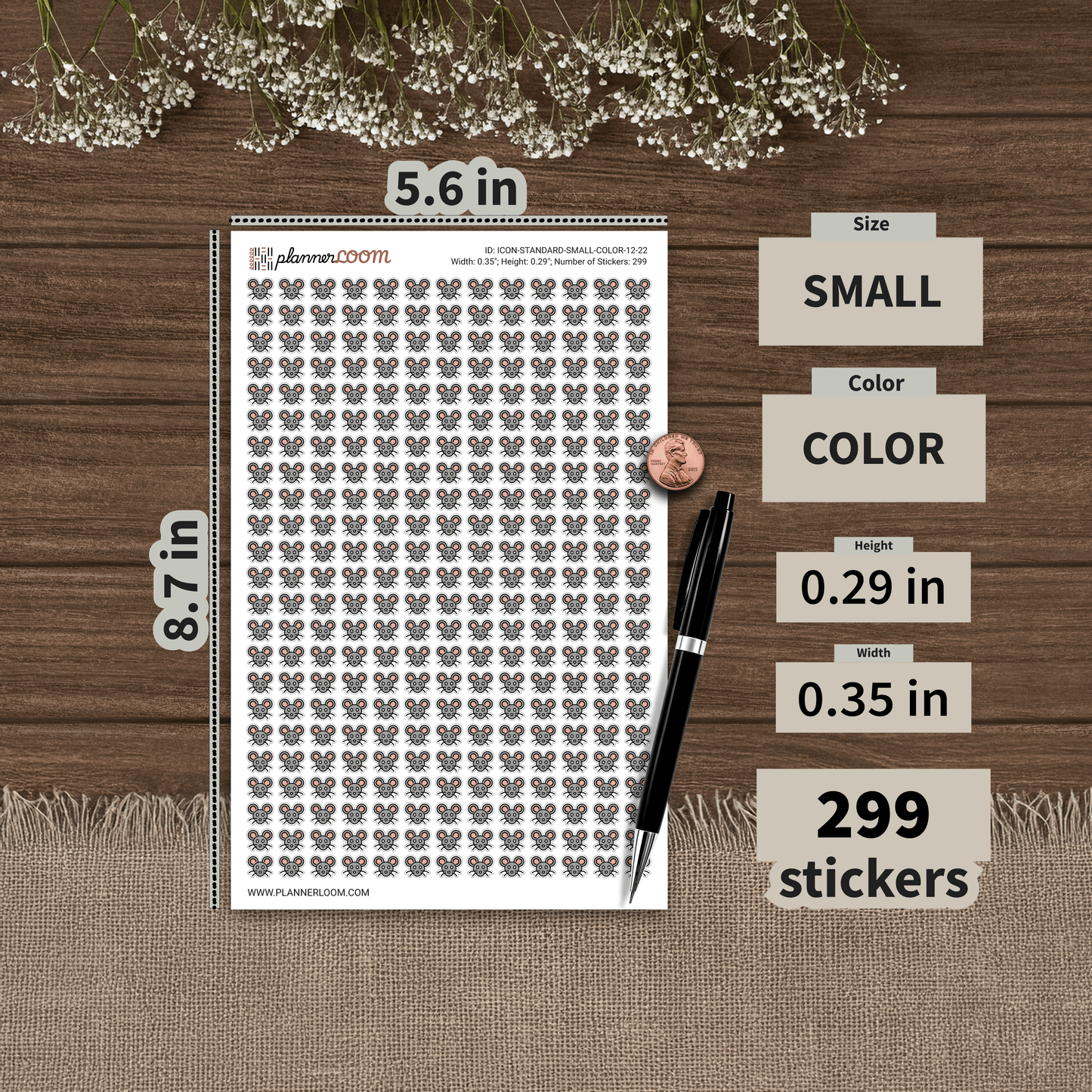ICON-STANDARD-SMALL-COLOR-12-22.png