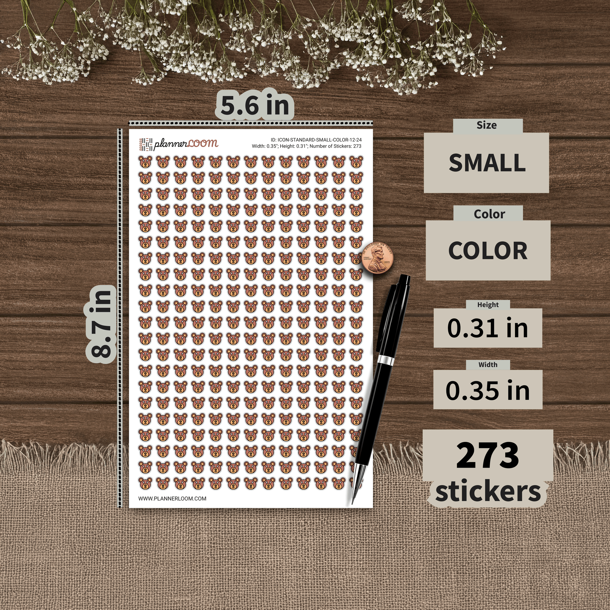 ICON-STANDARD-SMALL-COLOR-12-24.png