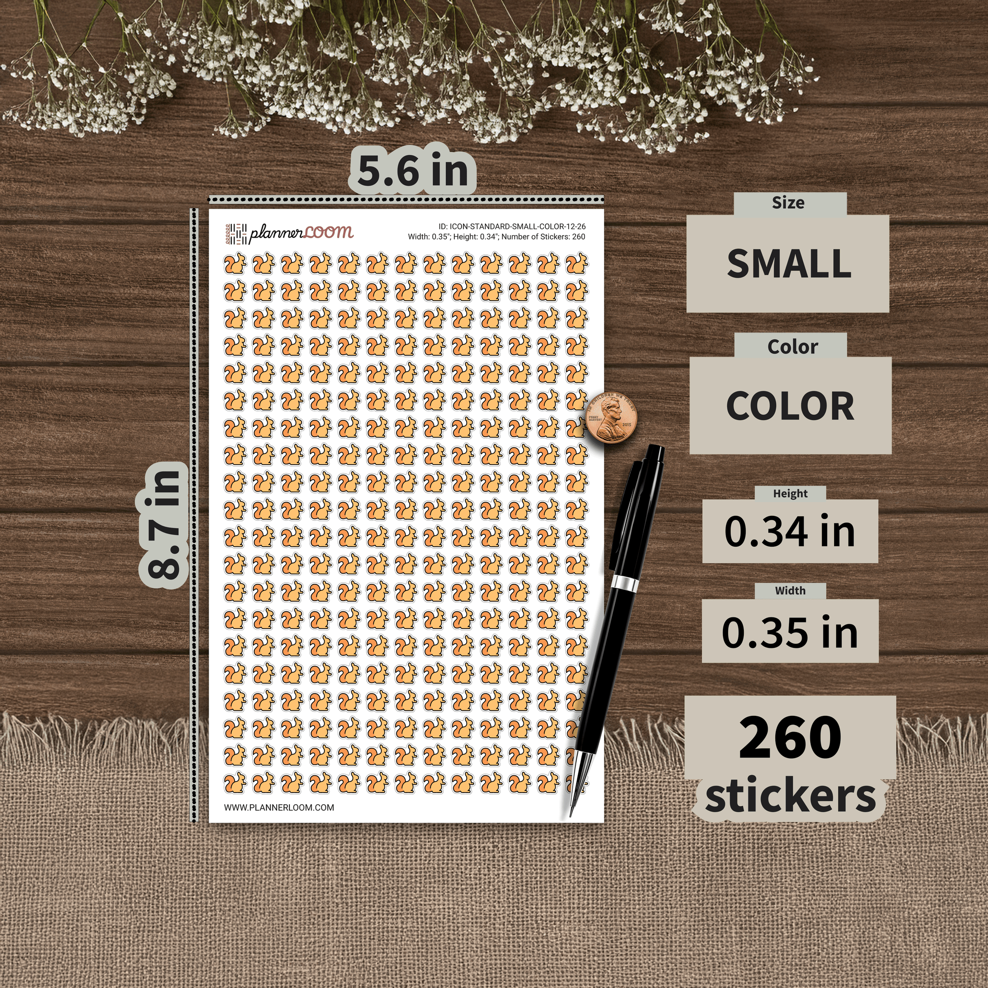 ICON-STANDARD-SMALL-COLOR-12-26.png
