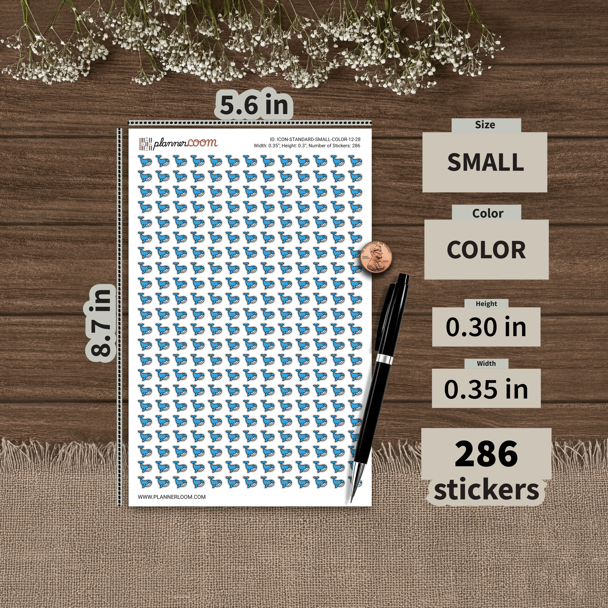 ICON-STANDARD-SMALL-COLOR-12-28.png