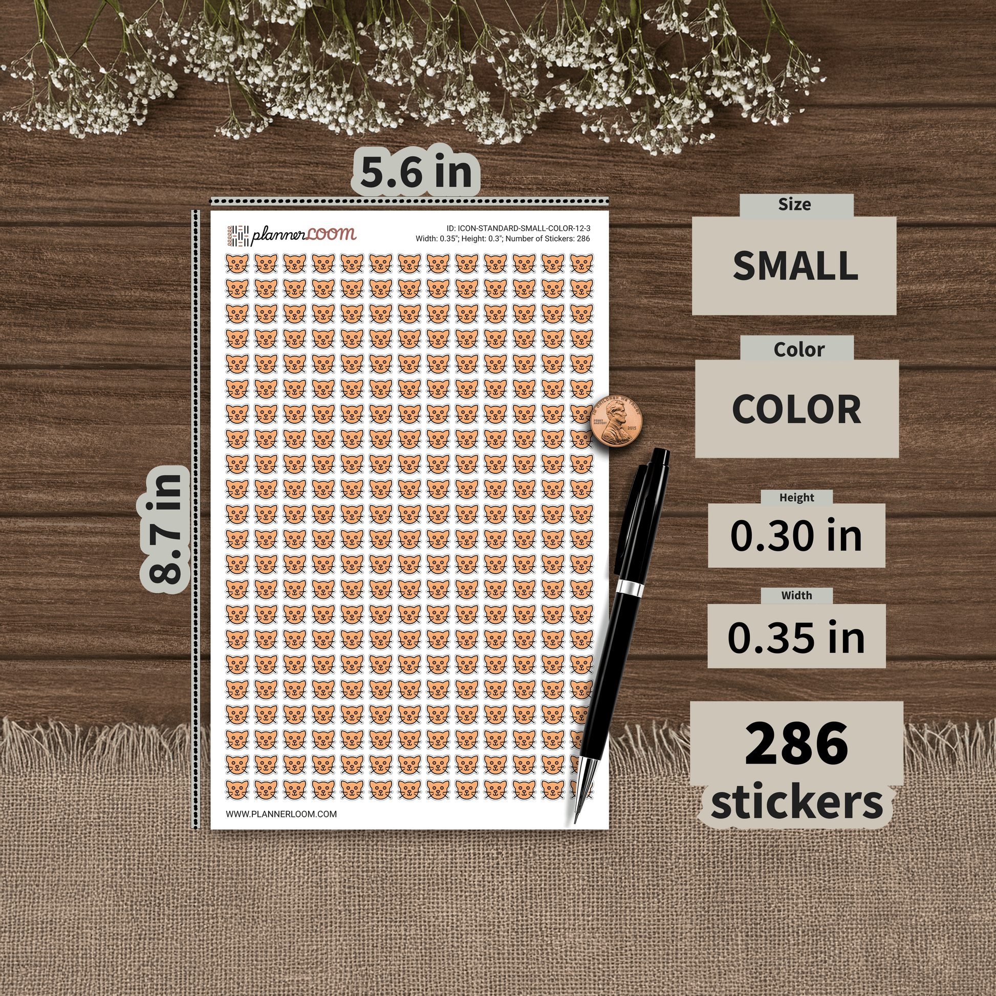 ICON-STANDARD-SMALL-COLOR-12-3.png