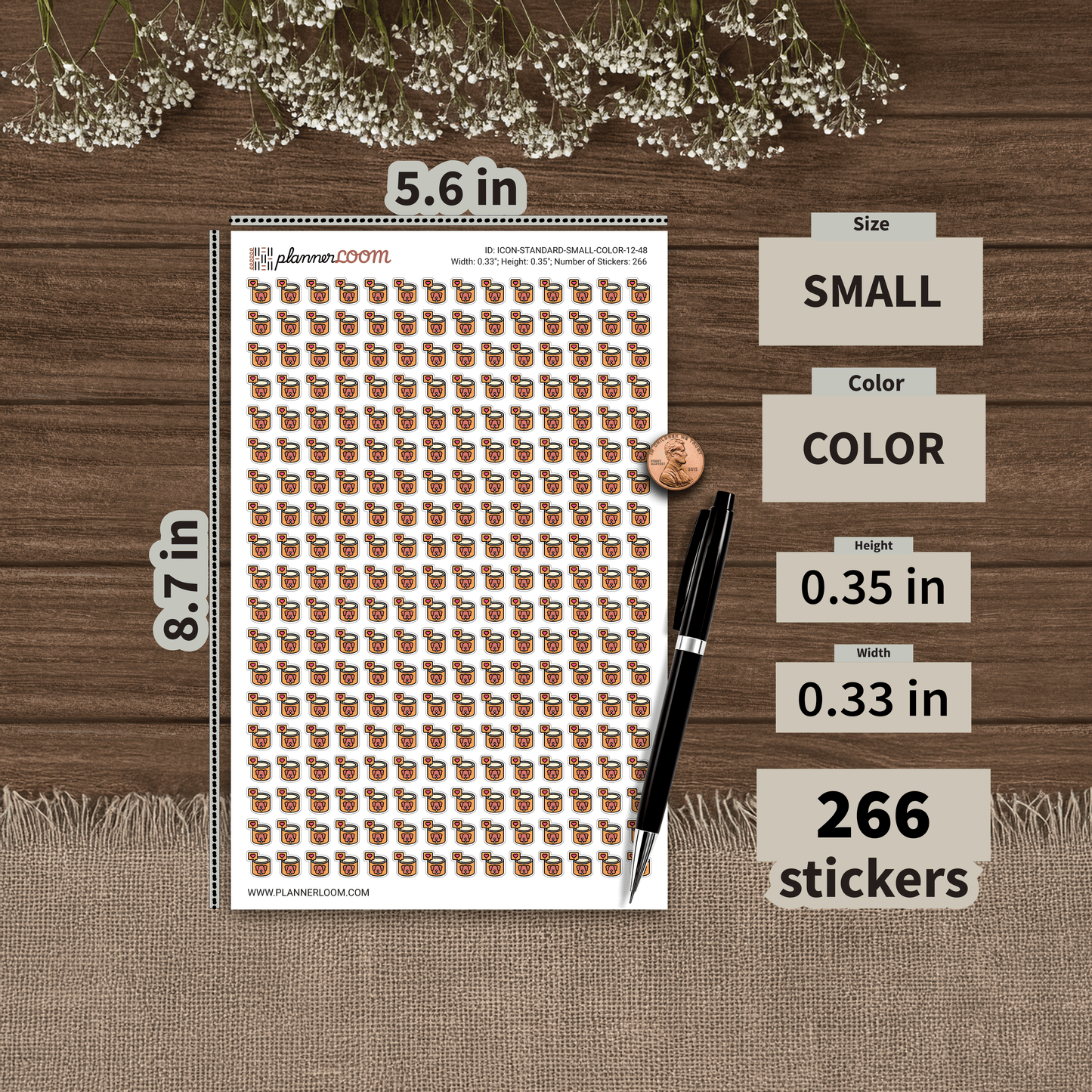 ICON-STANDARD-SMALL-COLOR-12-48.png