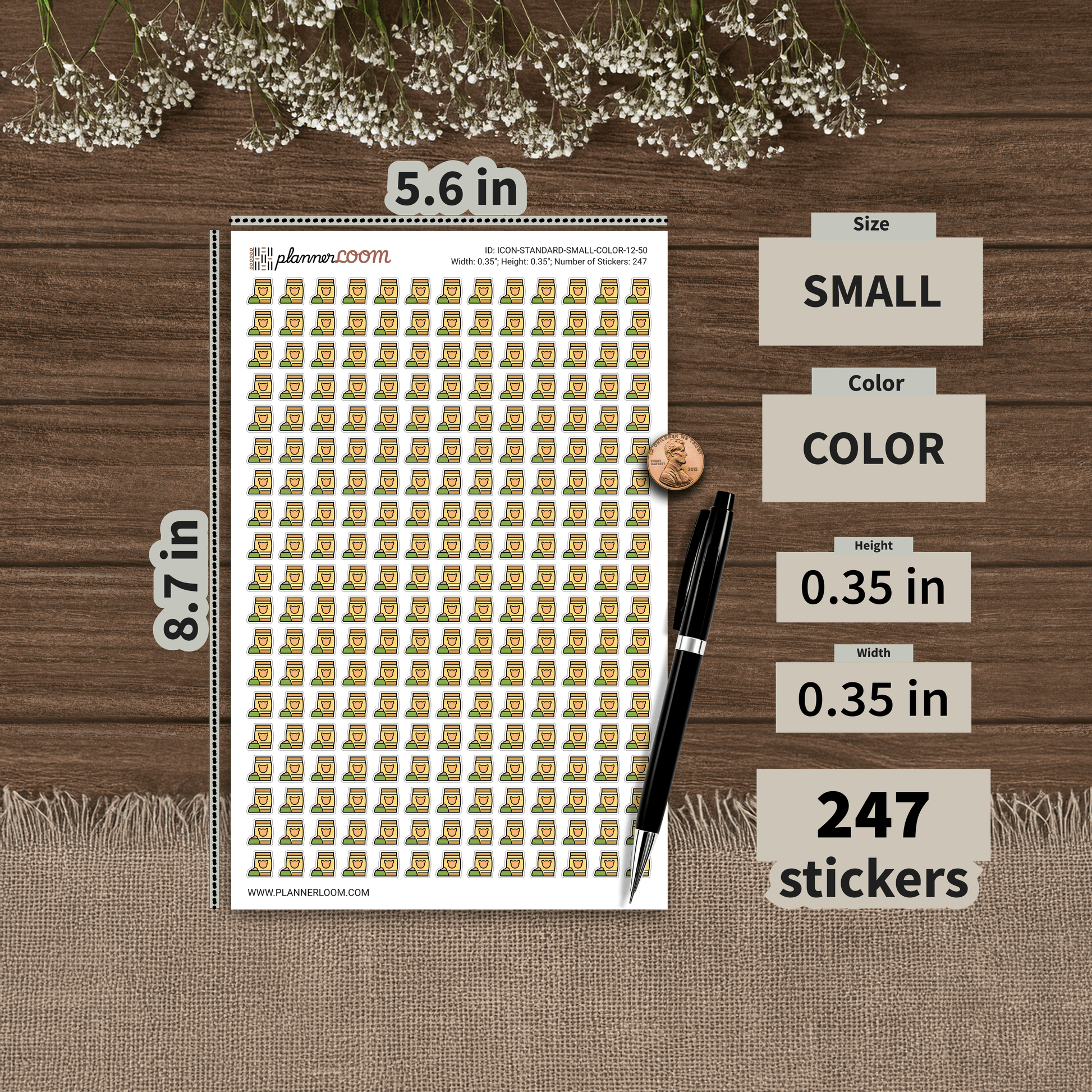 ICON-STANDARD-SMALL-COLOR-12-50.png